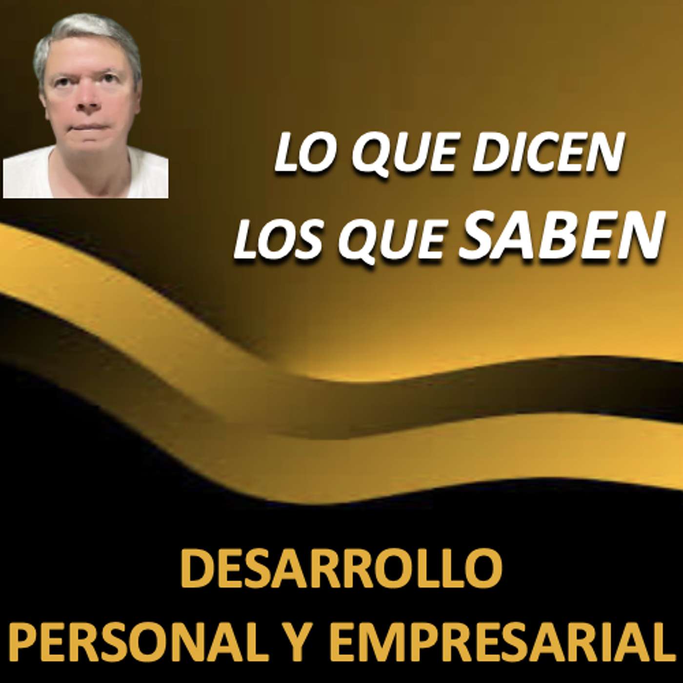LO QUE DICEN LOS QUE SABEN