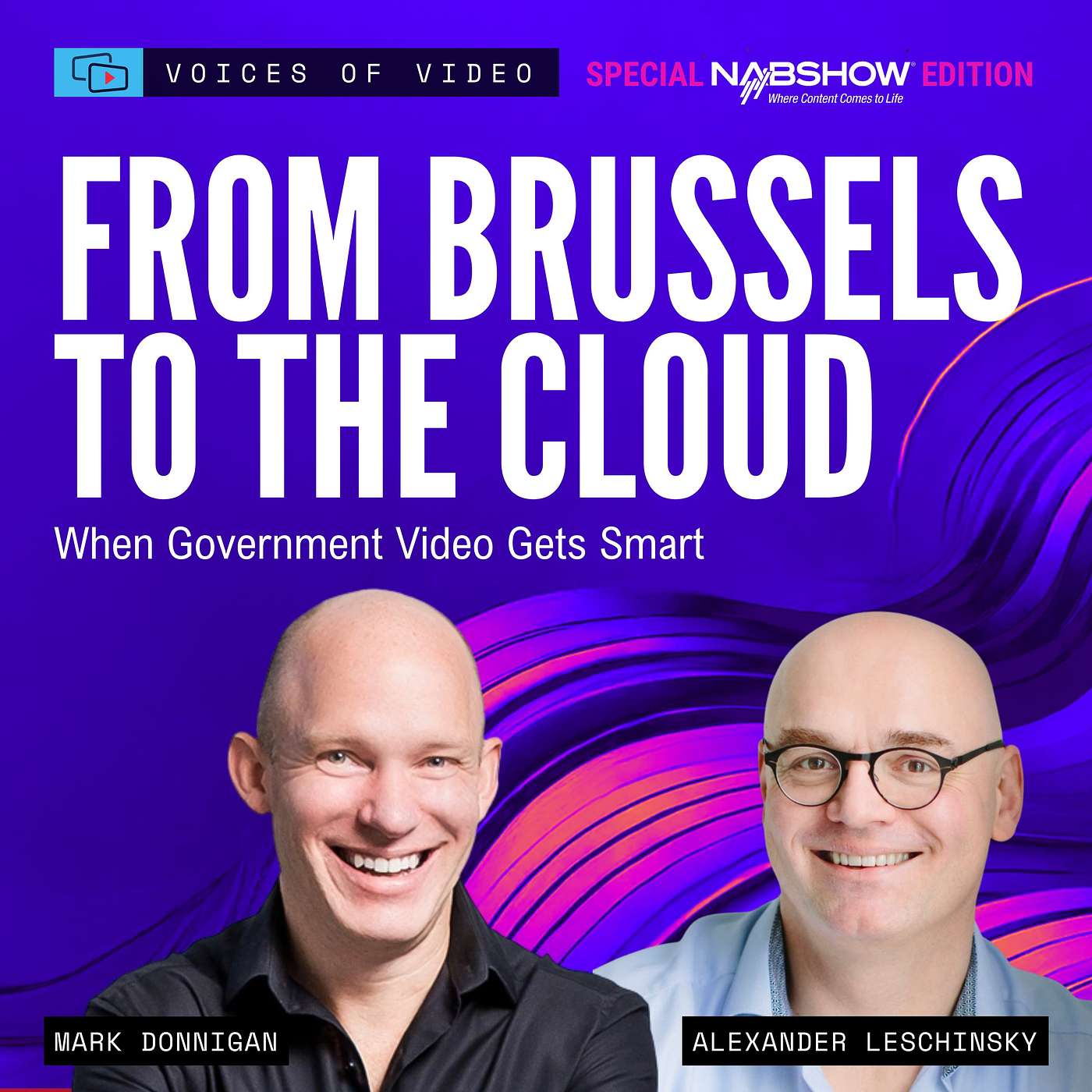 Voices of Video