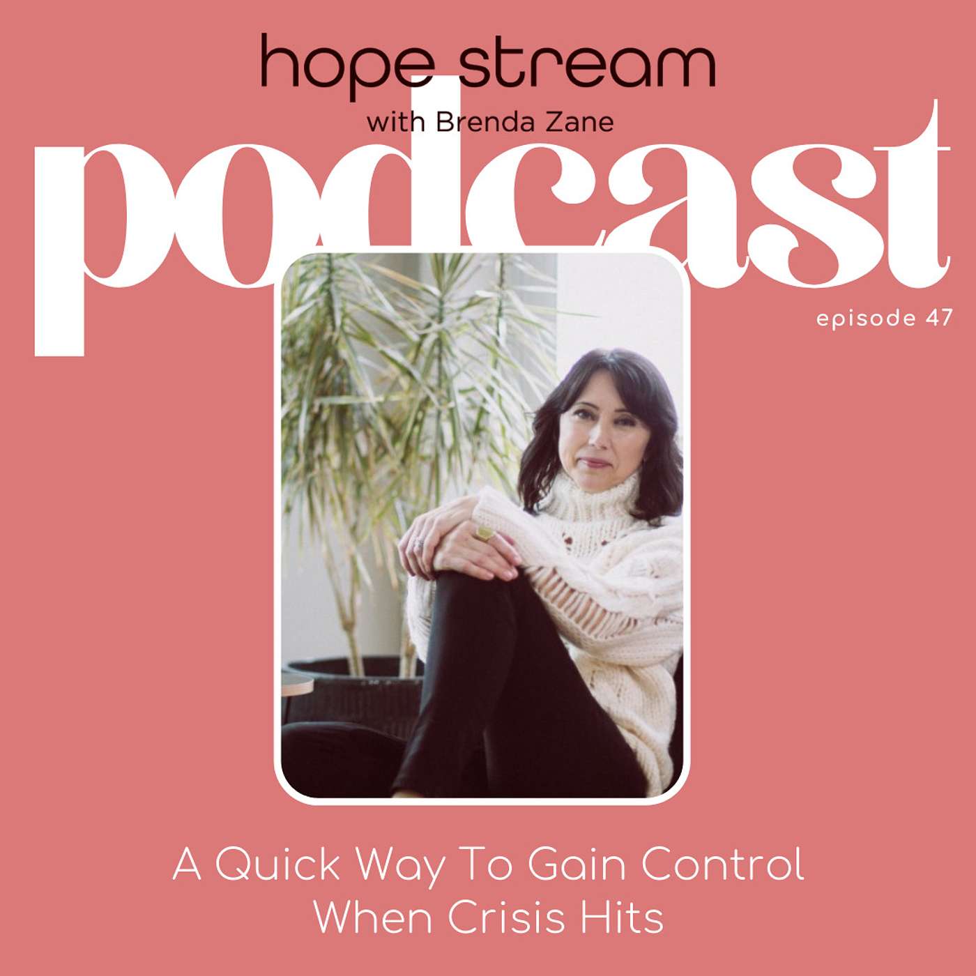 A Quick Way To Gain Control When Crisis Hits with Brenda Zane