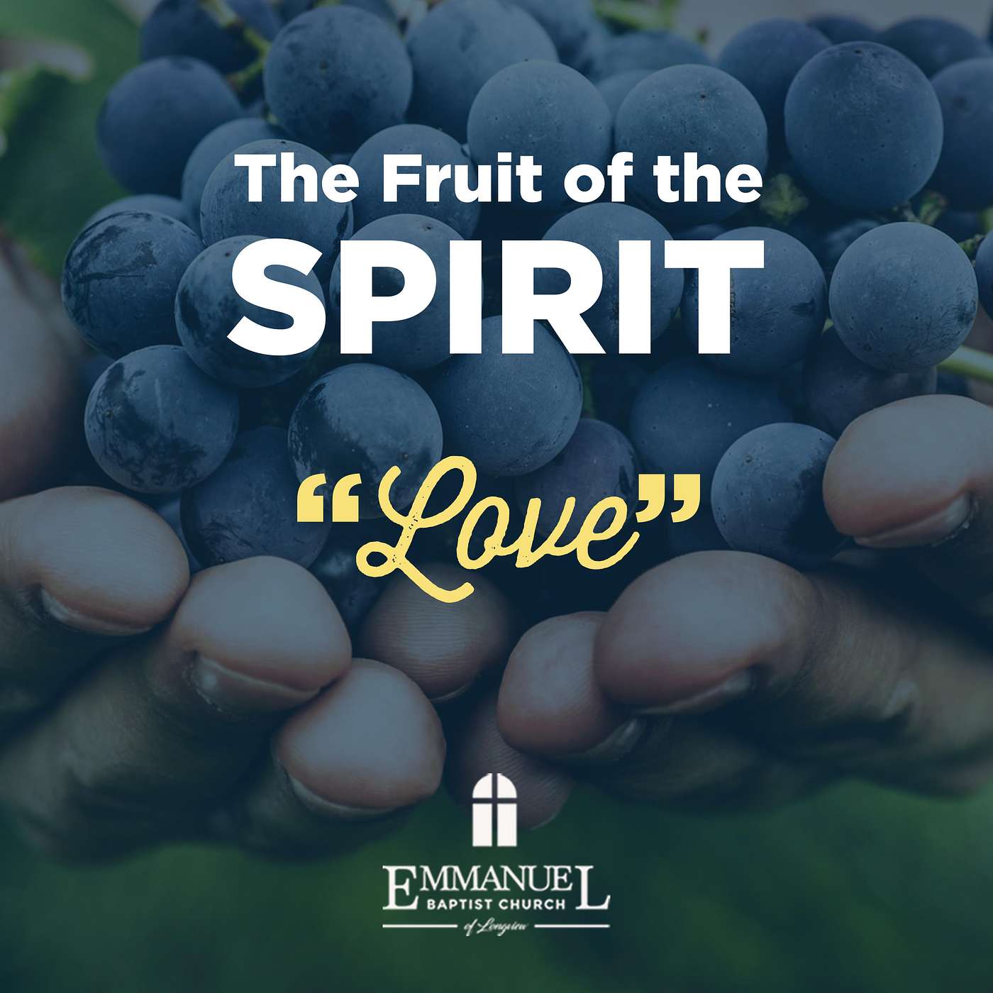 The Fruit of the Spirit - Love - Wednesday Night 12/8/2021 - Pastor Bob Gray II episode artwork