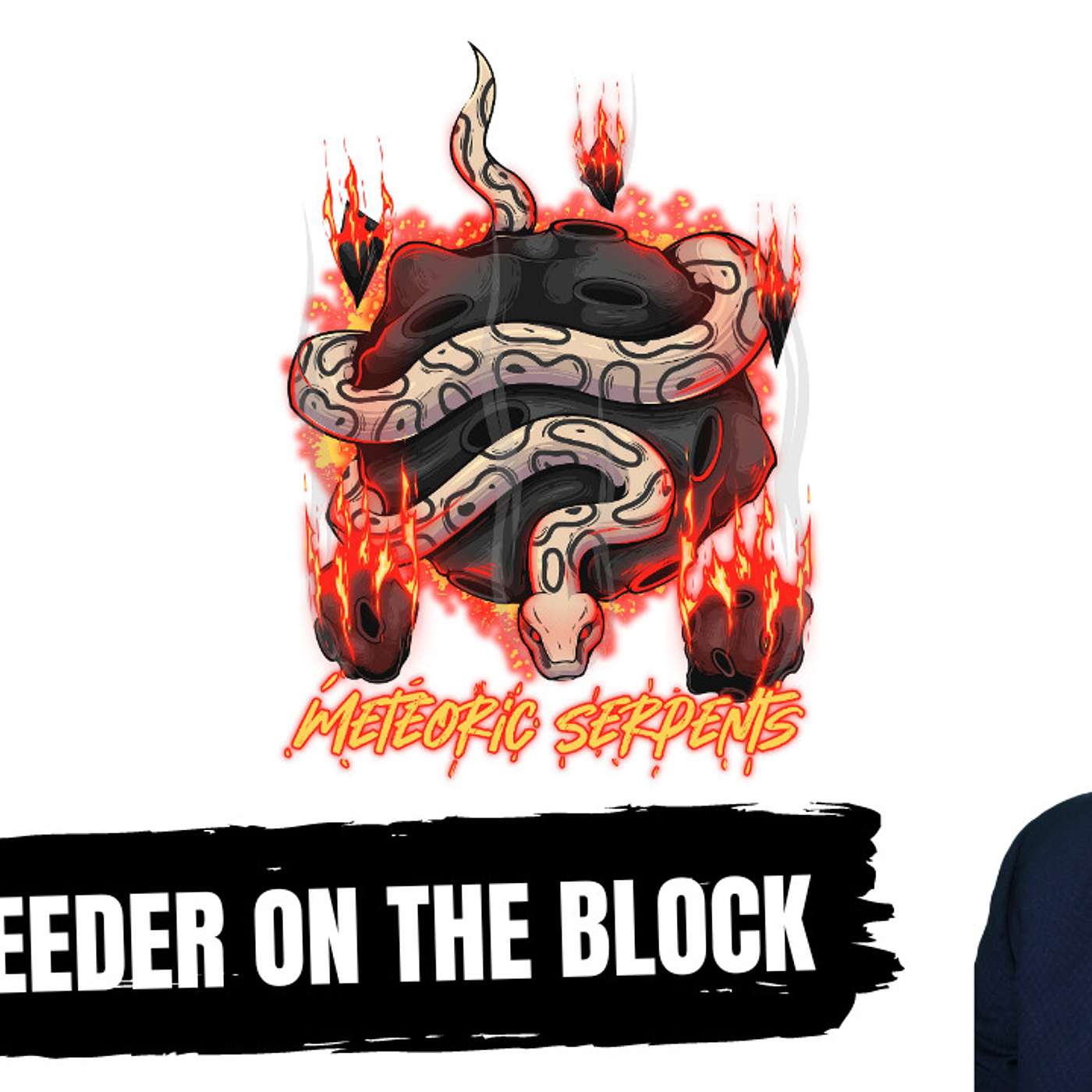 How it feels being a new reptile breeder in Florida