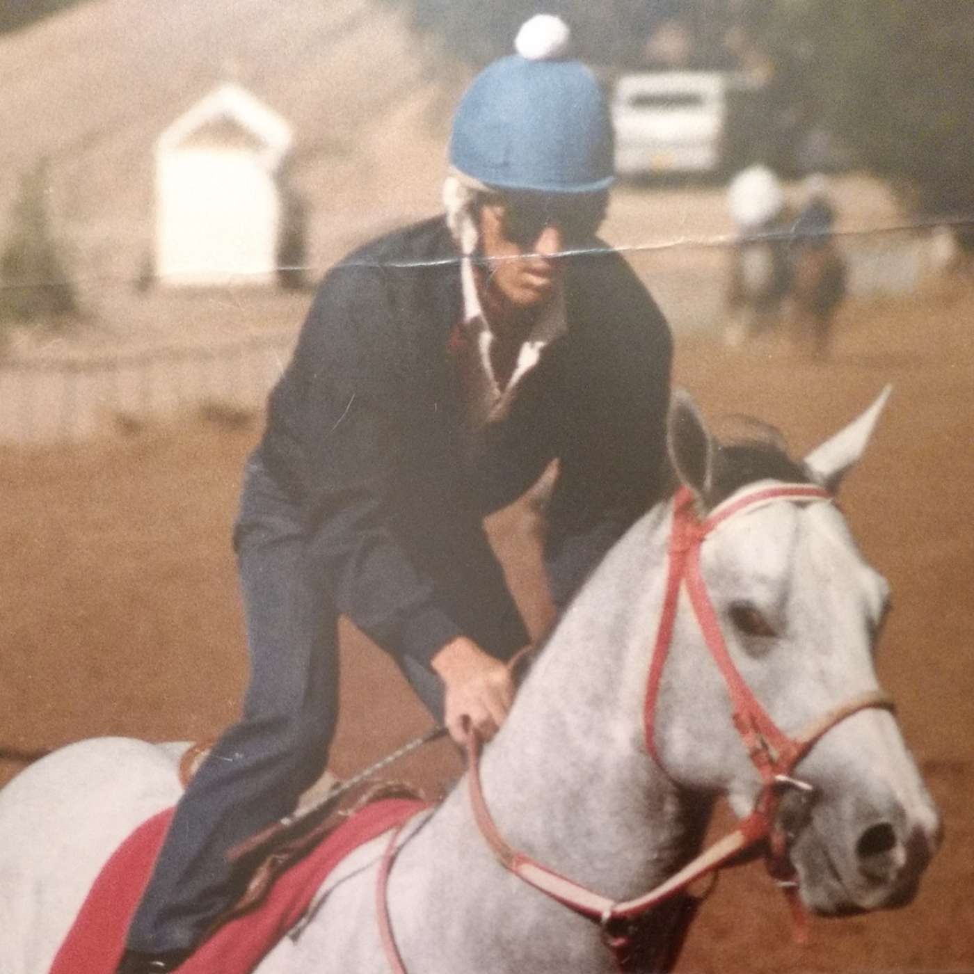 StallioneSearch Podcasts