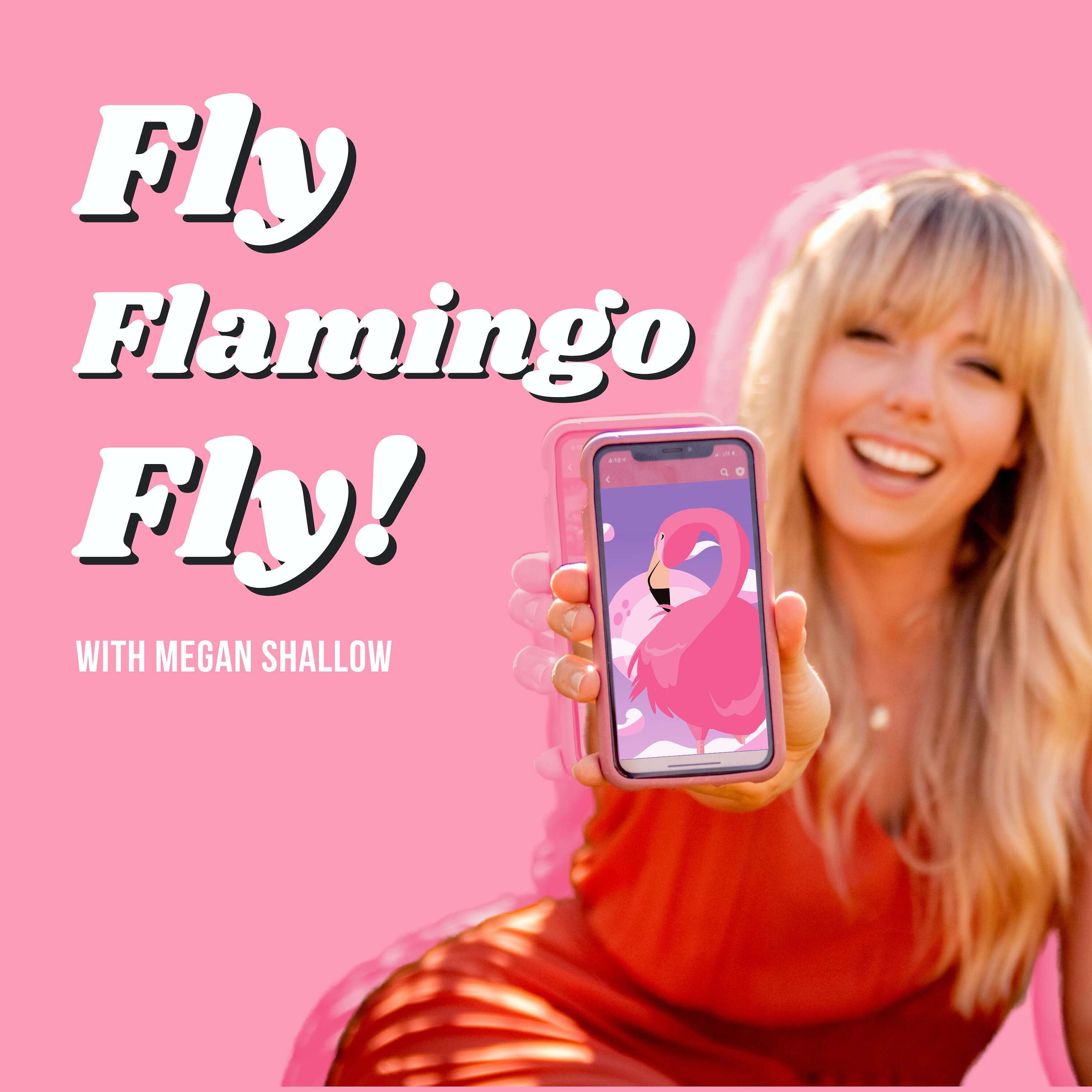 Fly Flamingo Fly