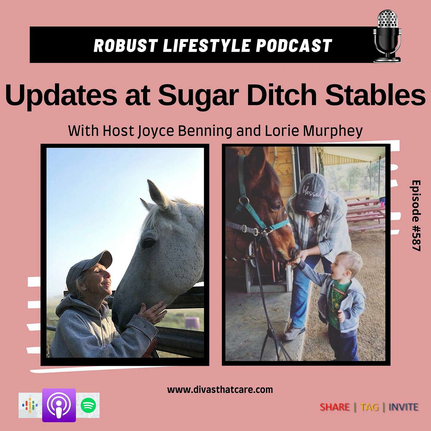 Updates At Sugar Ditch Stables episode artwork