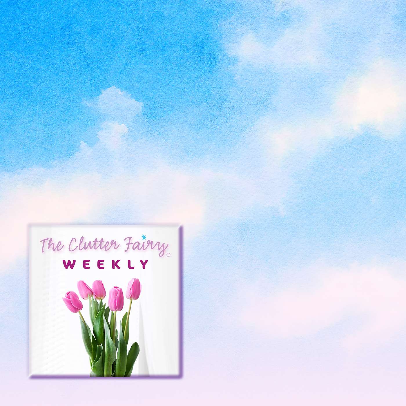 Life-changing Magic: The KonMari Method in Philosophy and Practice 2 - The Clutter Fairy Weekly #123