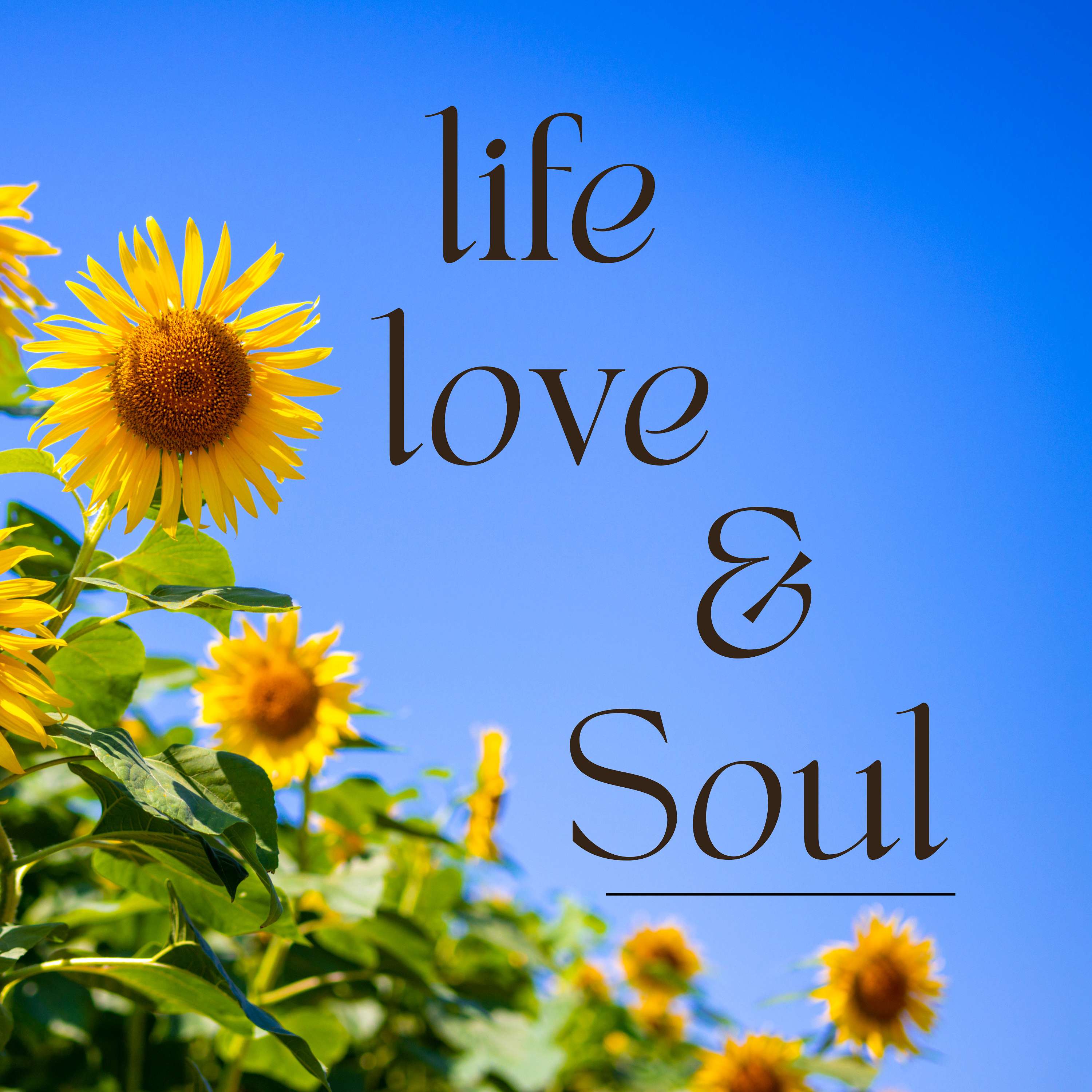 Life, Love & Soul