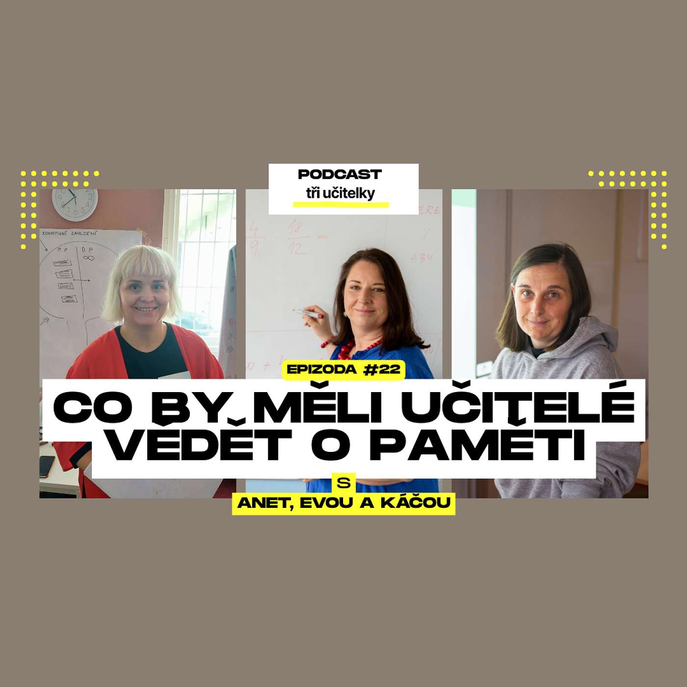 22: Co by měli učitelé vědět o paměti episode artwork