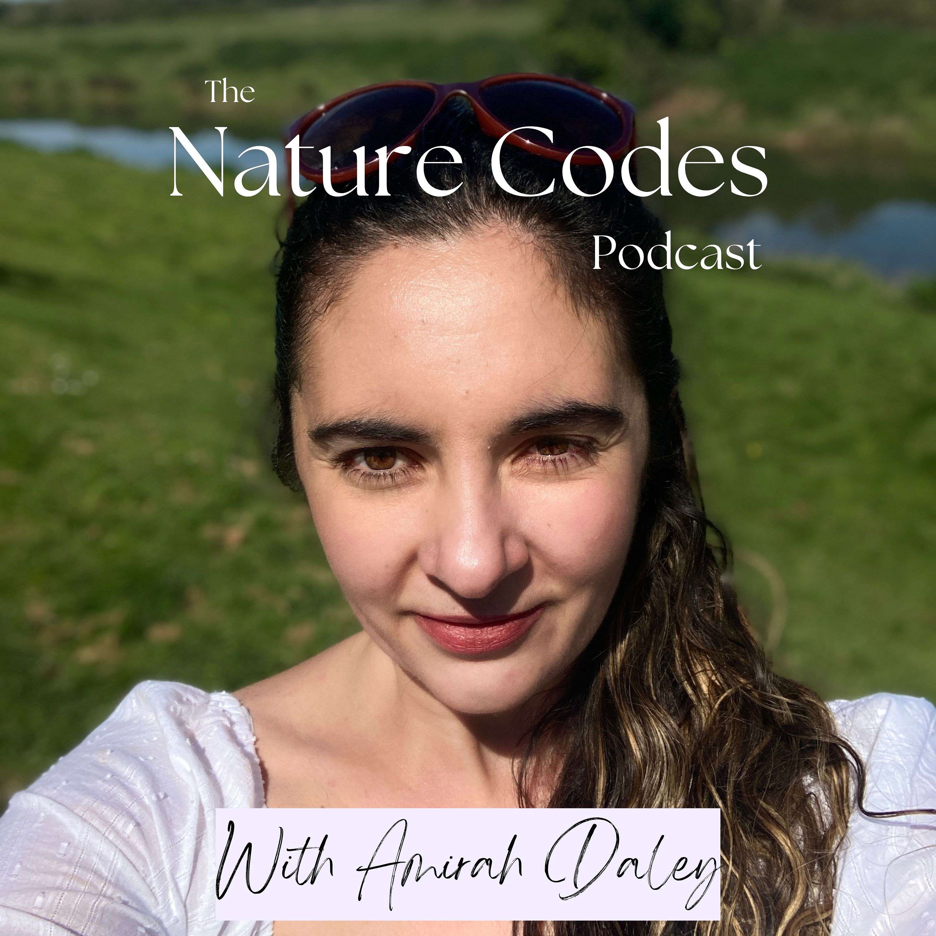 The Nature Codes