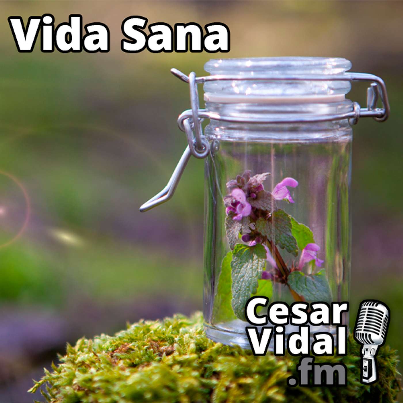 Vida Sana: Flores de Bach - 19/06/24