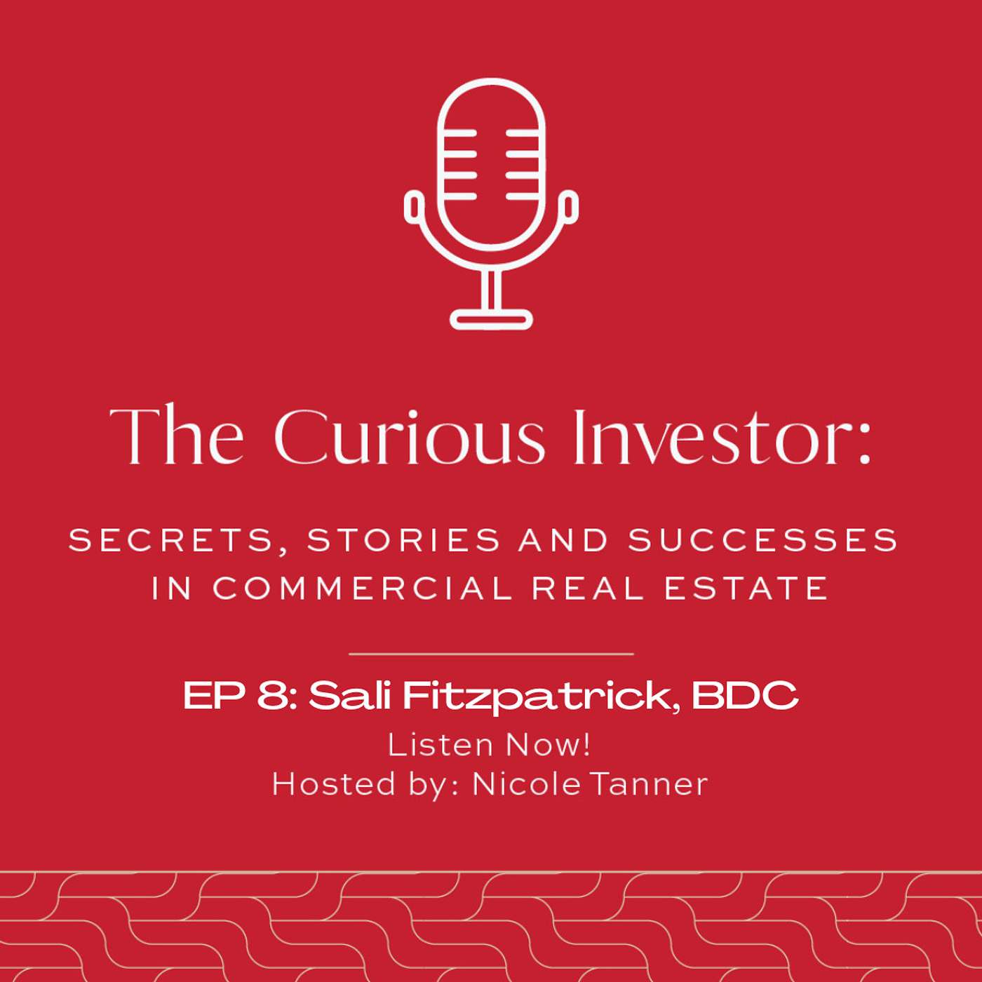 The Curious Investor