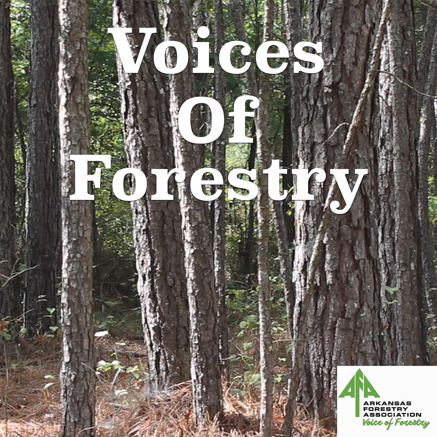 Voices of Forestry - Voices of Forestry Ep. 59 - Arkansas's Prescribed Burning Act