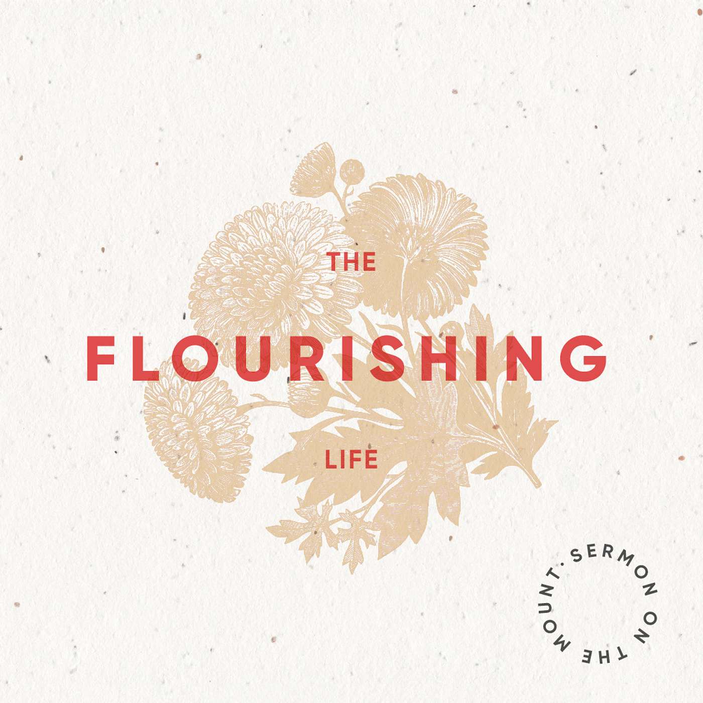 Flourishing Life: Persecuted | Matthew 5:10 episode artwork