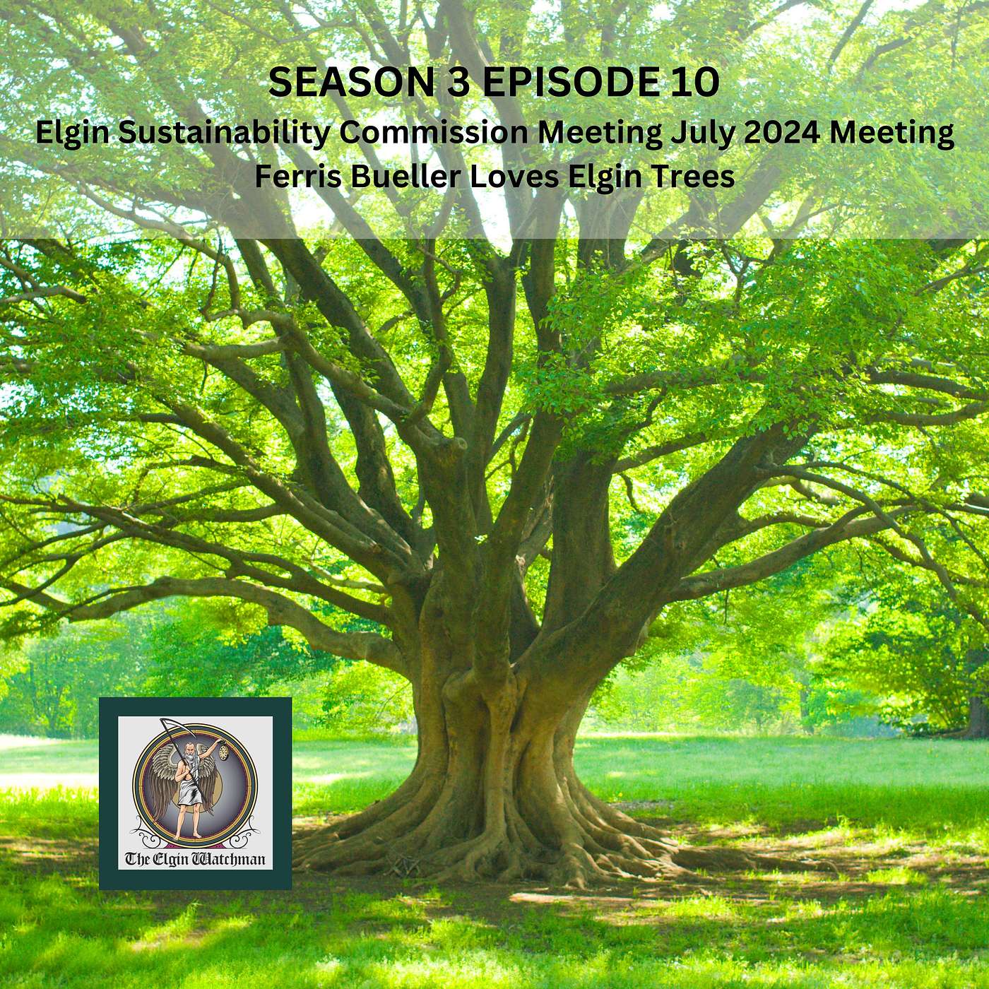 Elgin Sustainability Commission July 2024 Meeting: Ferris Bueller Loves Elgin Trees Elgin Sustainability Commission July 2024 Meeting: Ferris Bueller Loves Elgin Trees