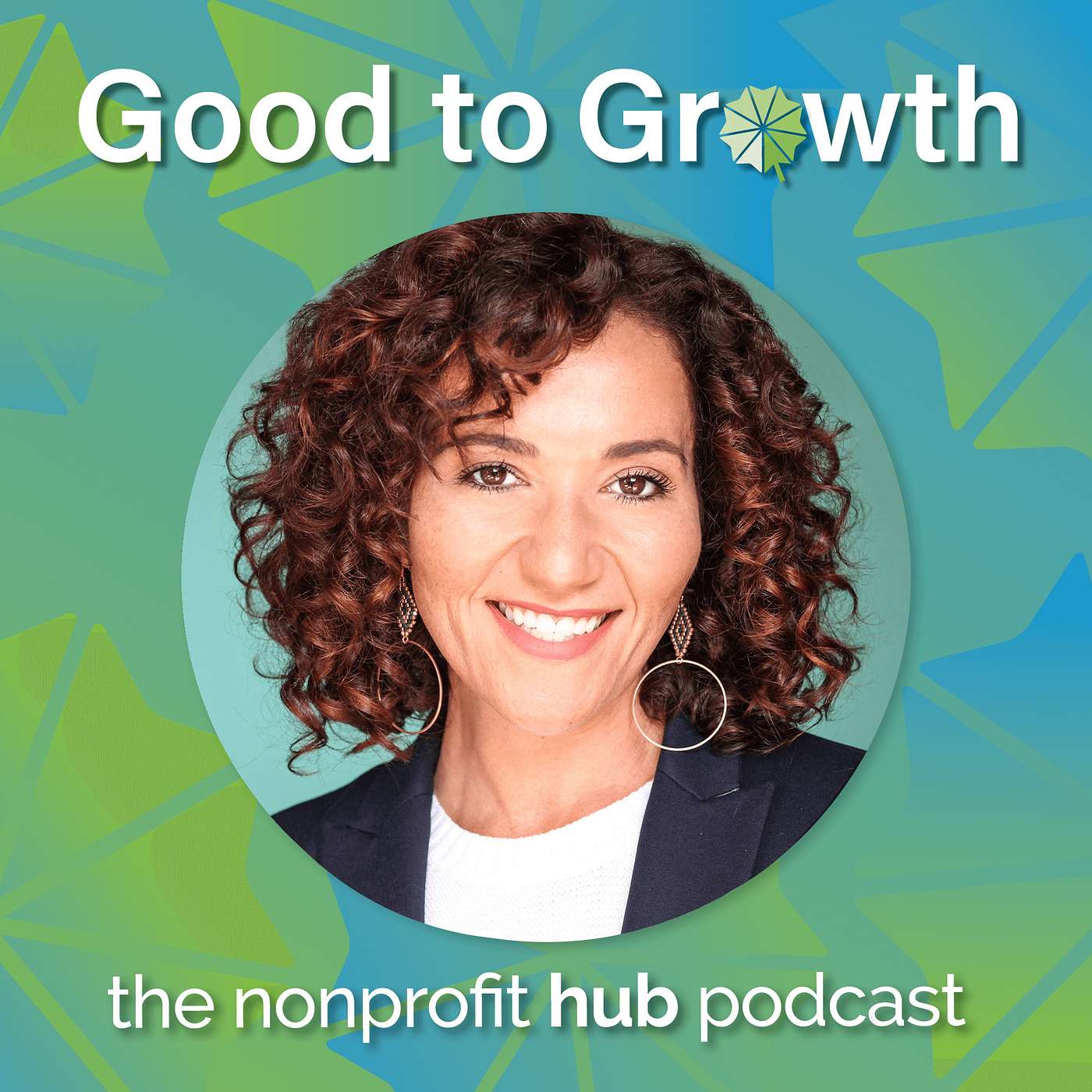 Avoid Becoming a Netflix Docudrama: A Discussion on Nonprofit Sector Ethics episode artwork