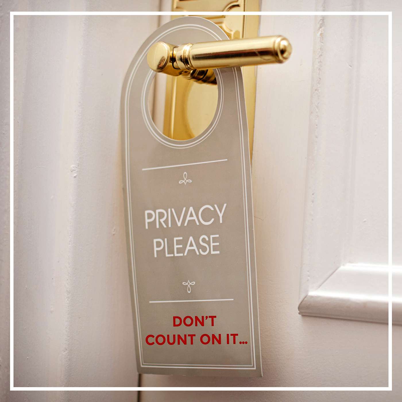 Privacy Please! - Don't Count on It. Court says you have NO reasonable expectation of online privacy.