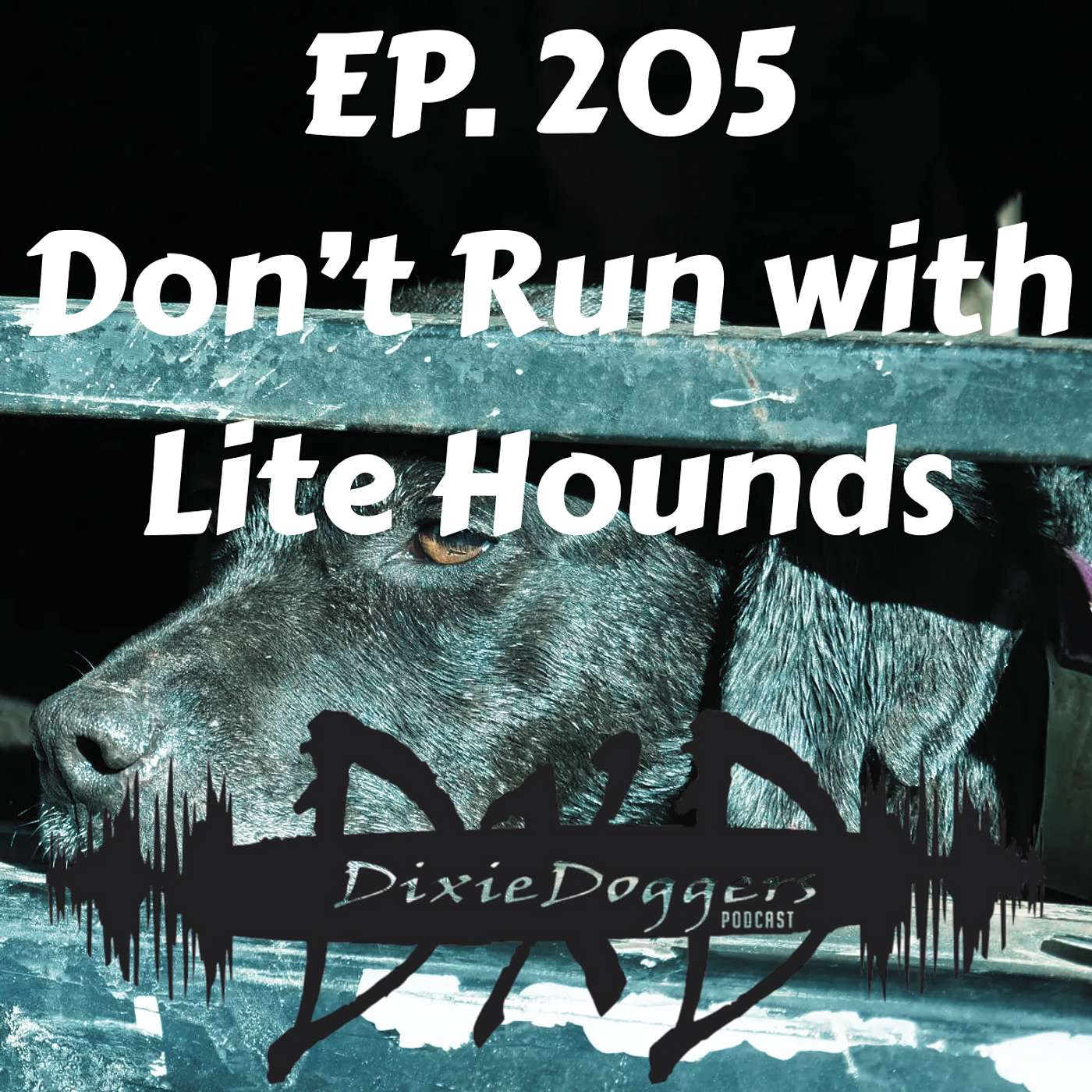 EP. 205 Don't Run with Lite Hounds Season Recap EP. 205 Don't Run with Lite Hounds Season Recap