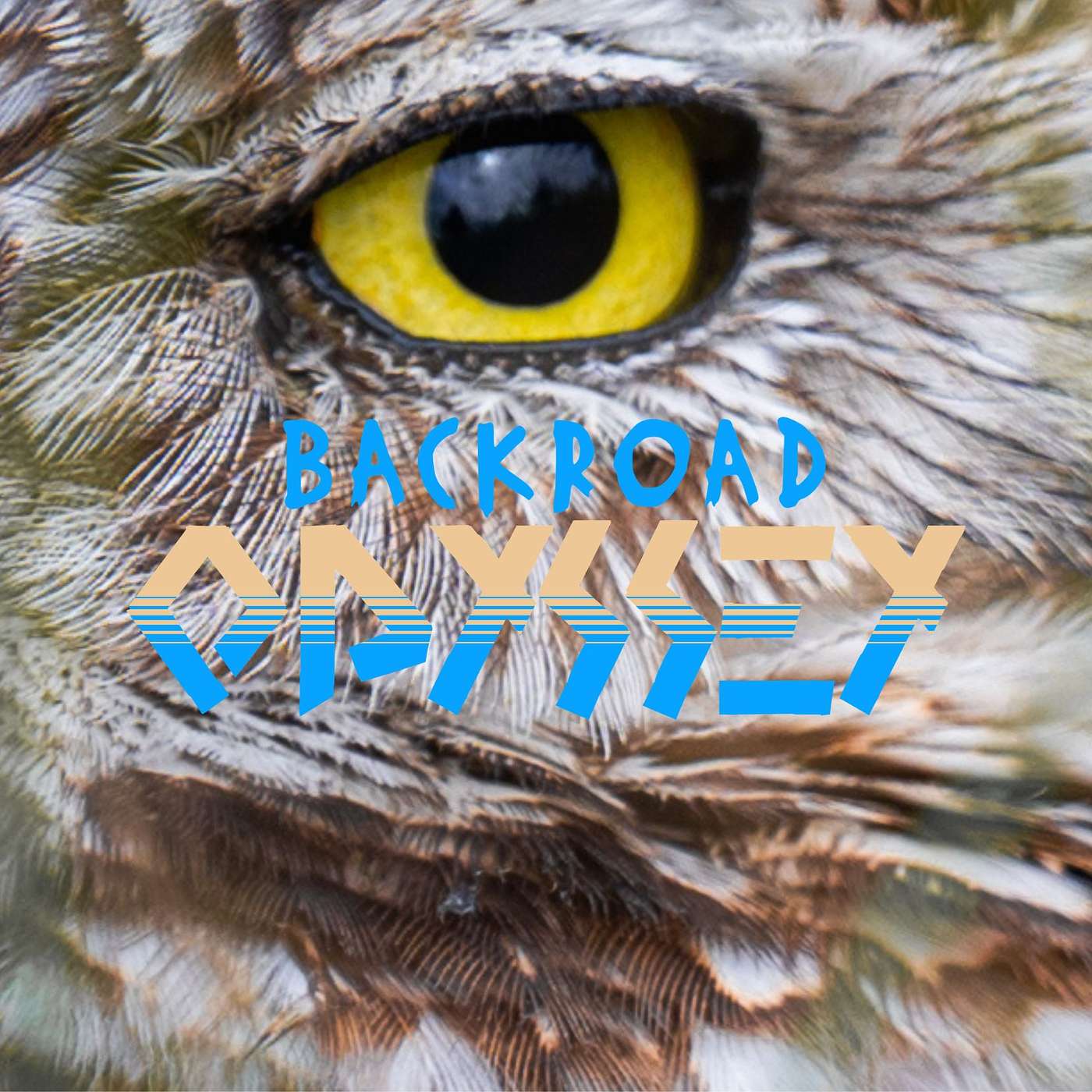The Owl Tunnels - Marco Island's Tiny Residents
