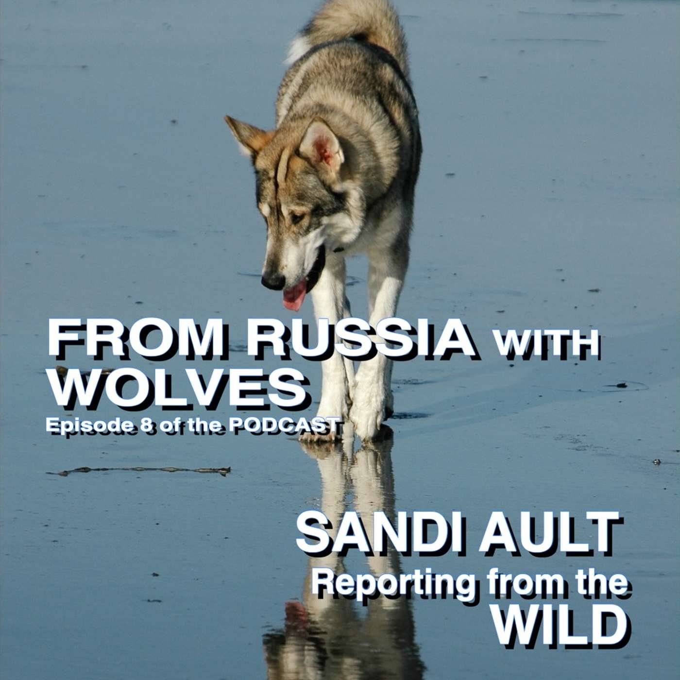 SANDI AULT—Reporting from the WILD