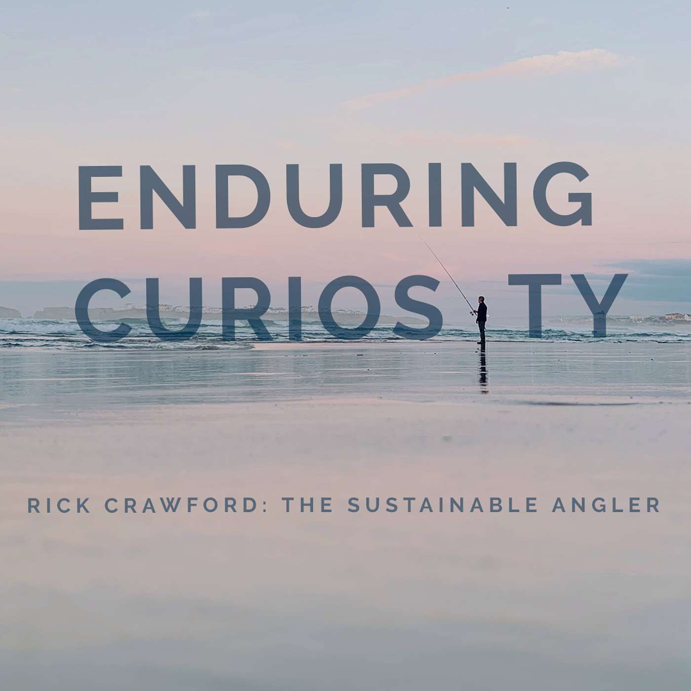 Enduring Curiosity