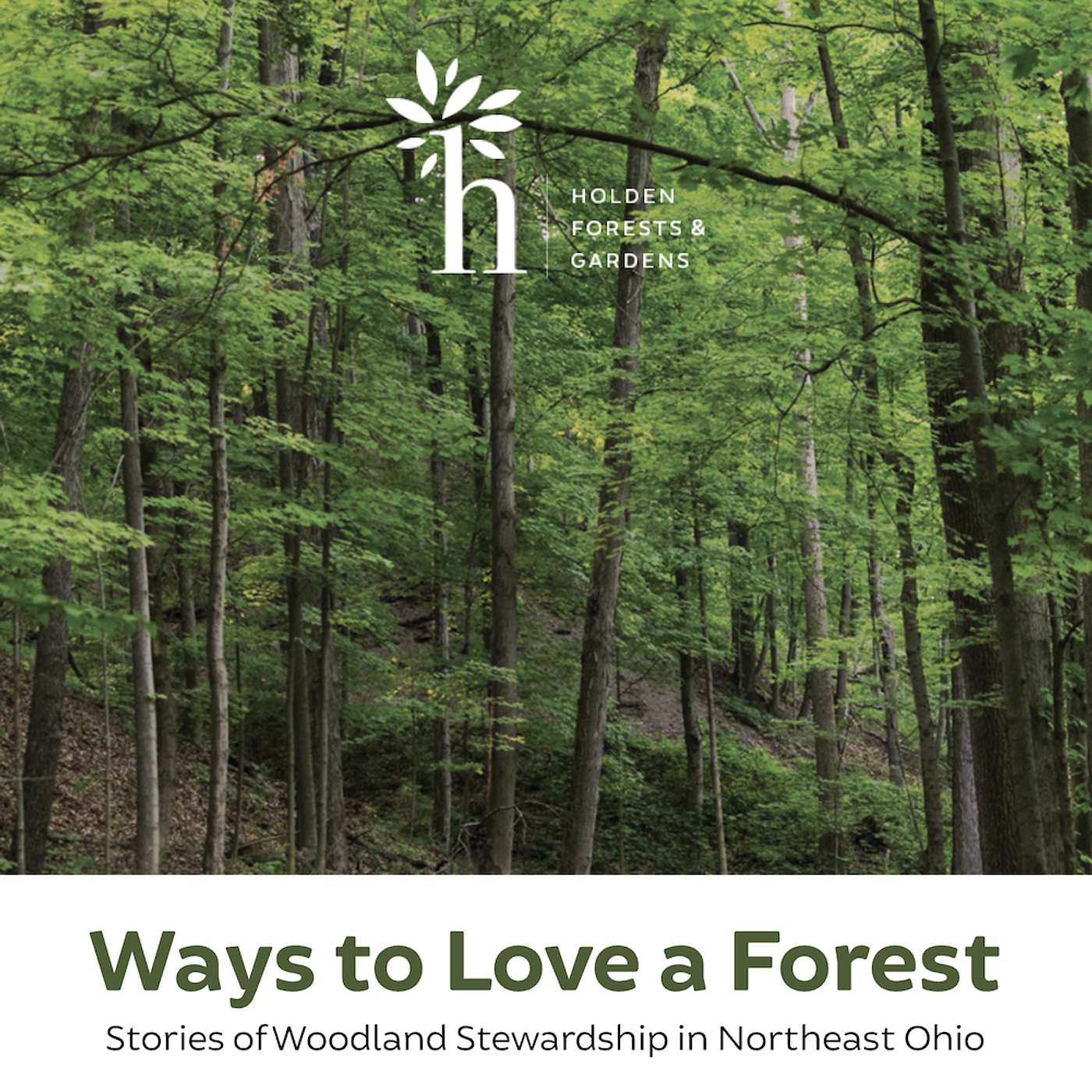 Forest Stories with Annie Weight and Jessica Miller Mecaskey