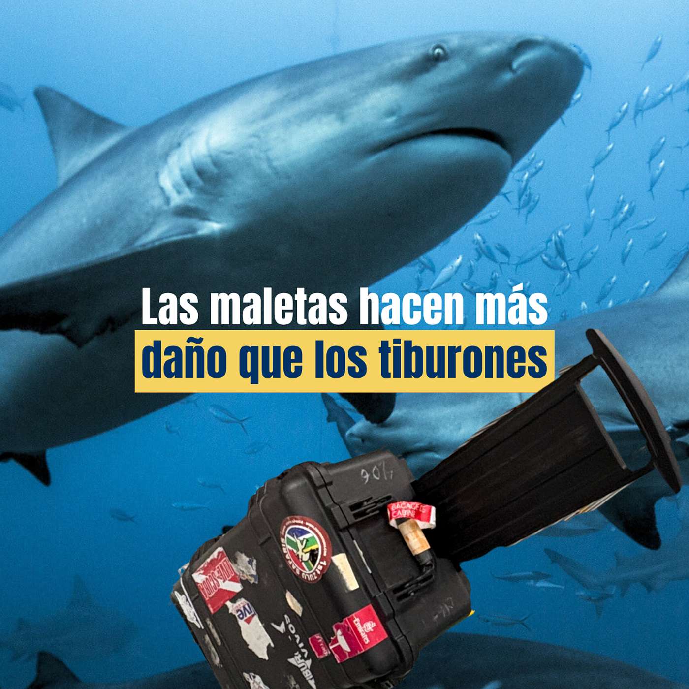 Las maletas hacen más daño que los tiburones
