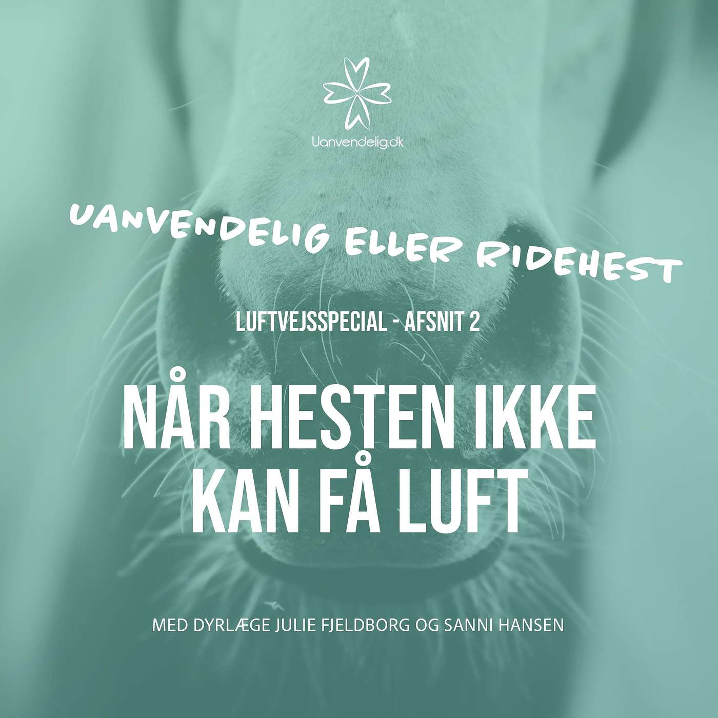 Når hesten ikke kan trække vejret - Med Julie Fjeldborg og Sanni Hansen