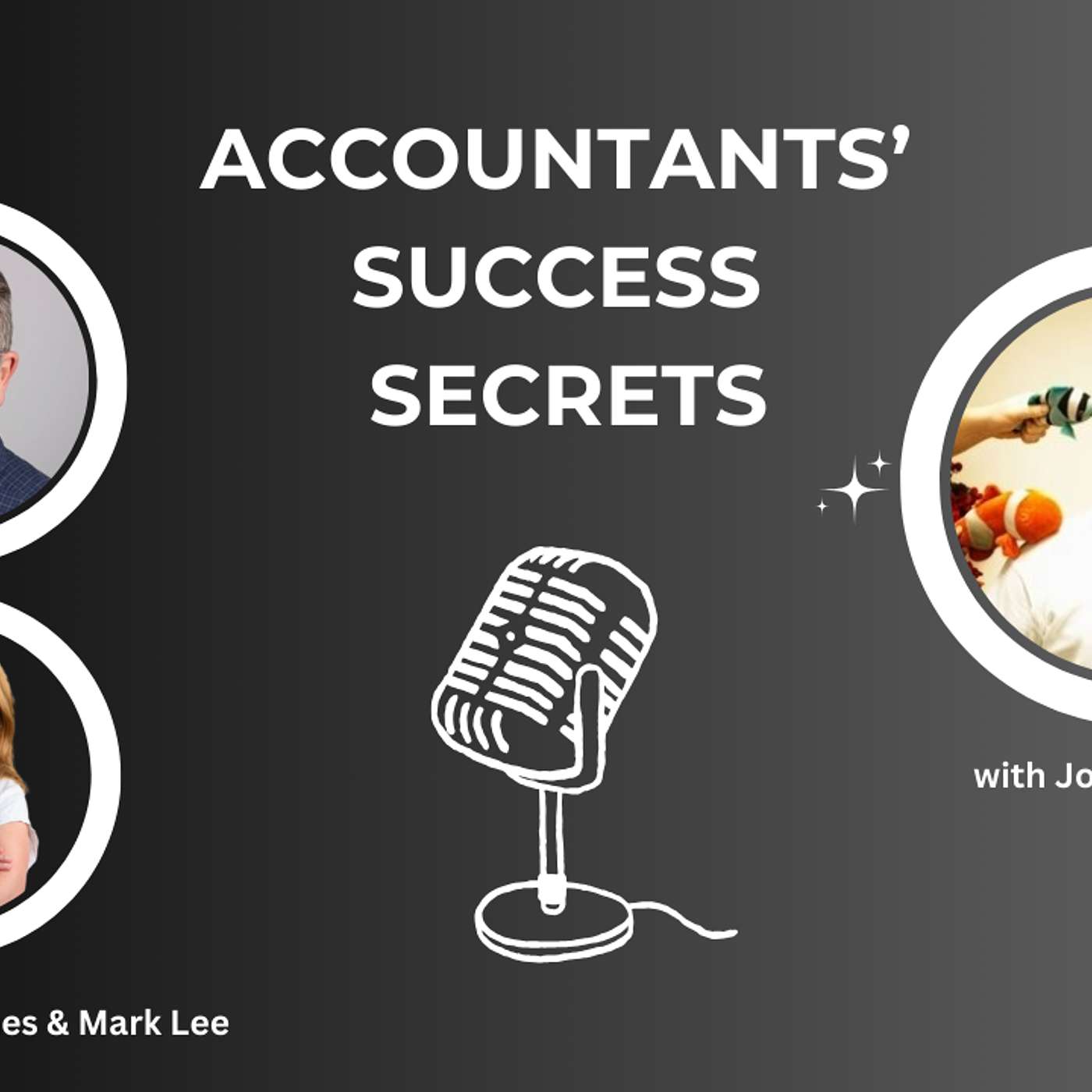 Accountants\' Success Secrets