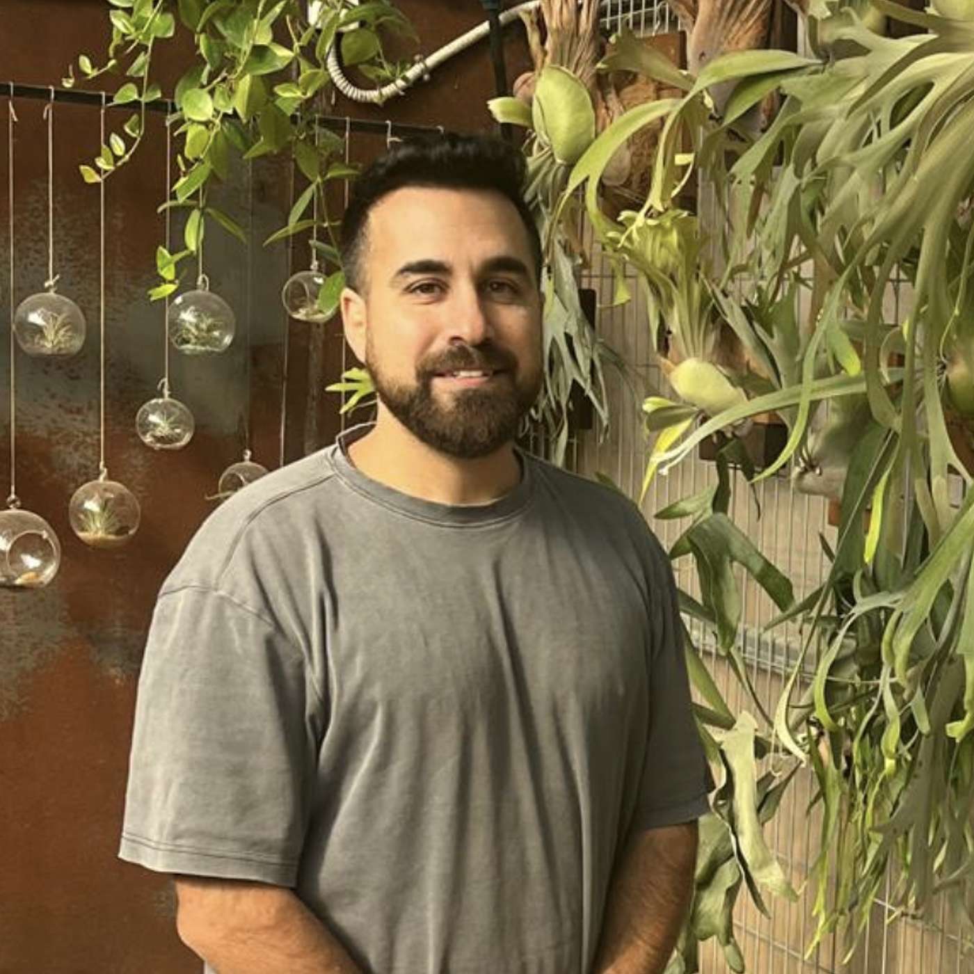 צמחי האויר של דוד