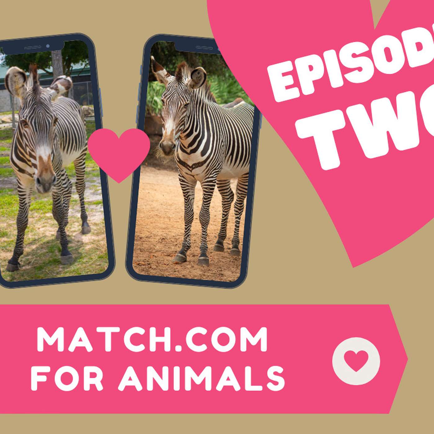 Match.com for Zoo Animals