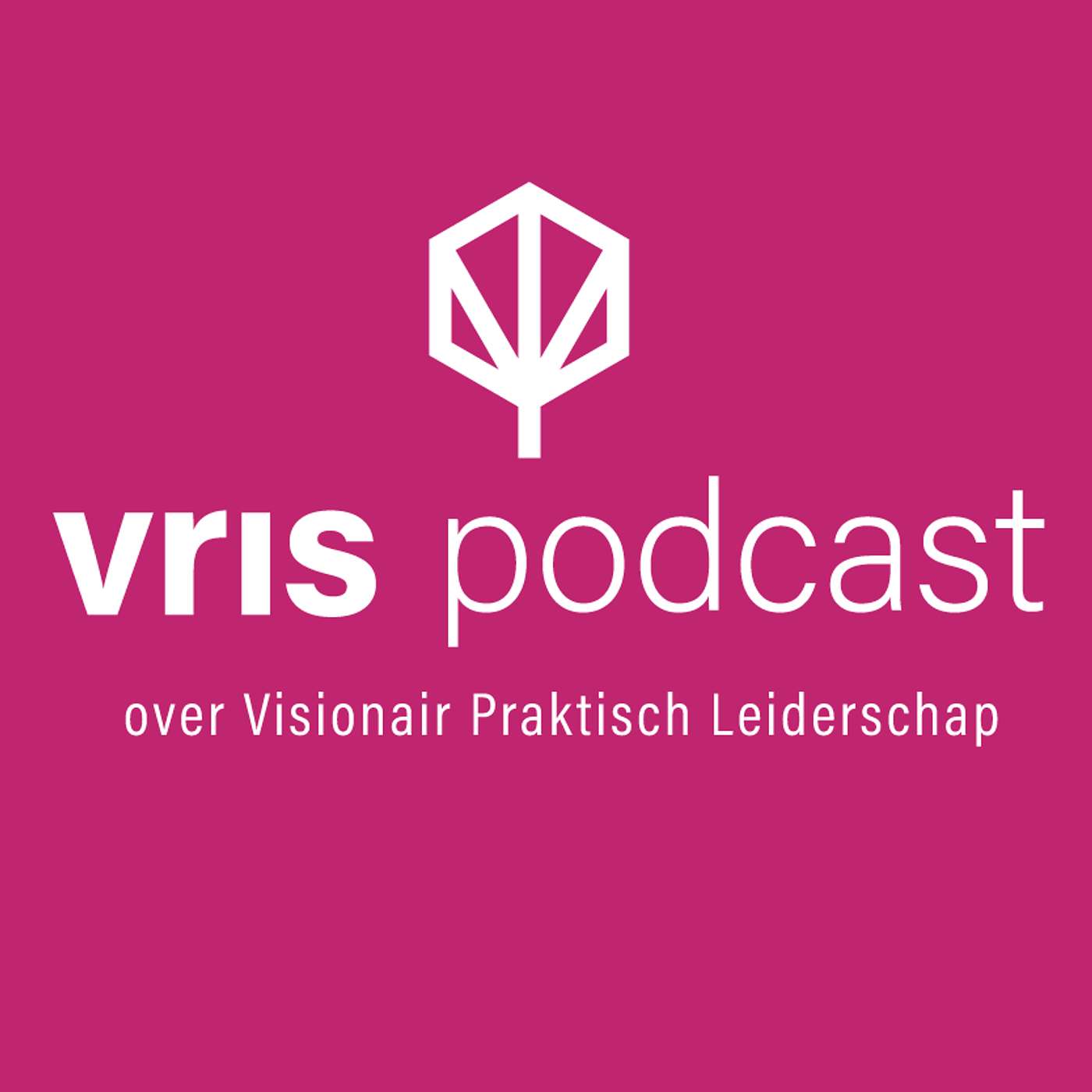 De VRIS podcast: Aflevering 1 - Bart Wopereis episode artwork