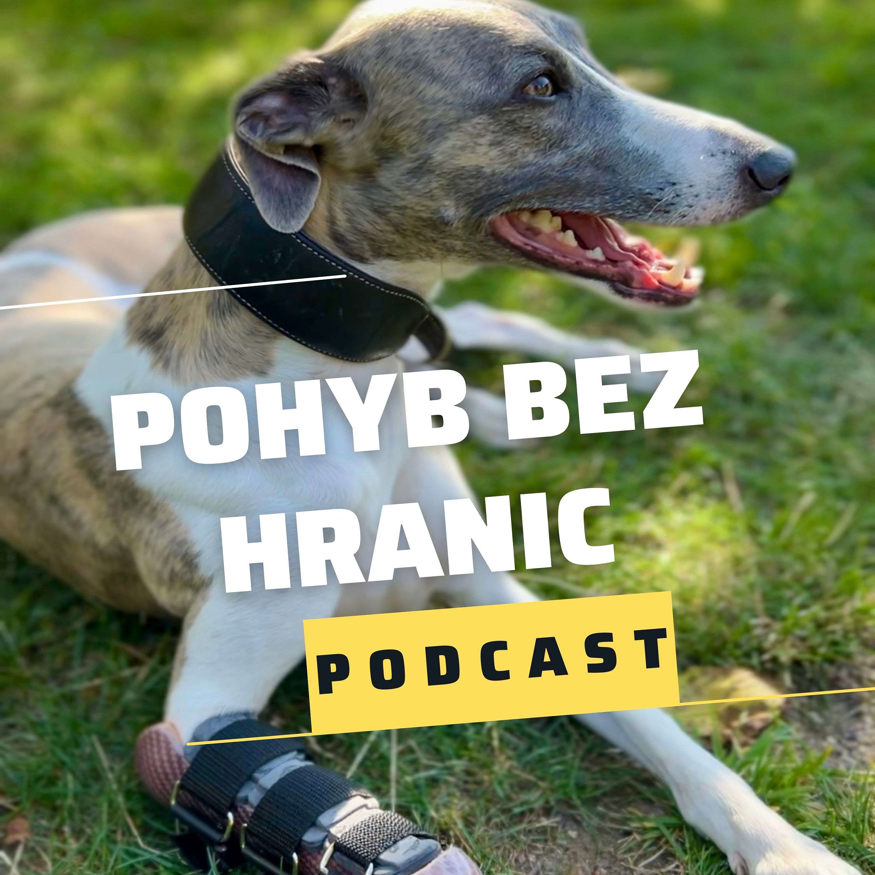 Pohyb bez hranic