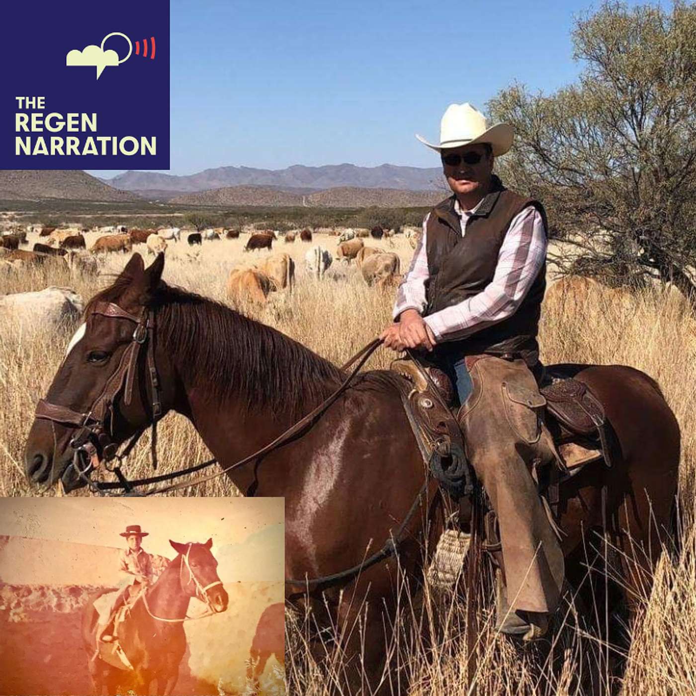 Alejandro Carrillo: Re-Greening the Largest Hot Desert in North America with Donkeys, Love & … Water? Alejandro Carrillo: Re-Greening the Largest Hot Desert in North America with Donkeys, Love & … Water?