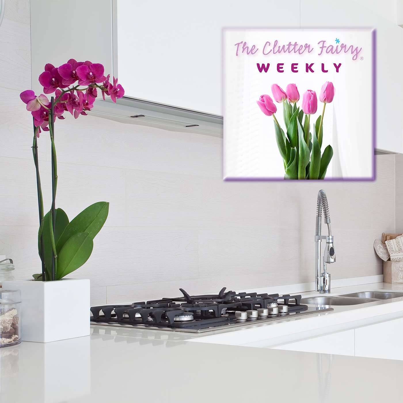 Recipe for Success: Organize Your Kitchen for Food, Family, and Fun - The Clutter Fairy Weekly #126