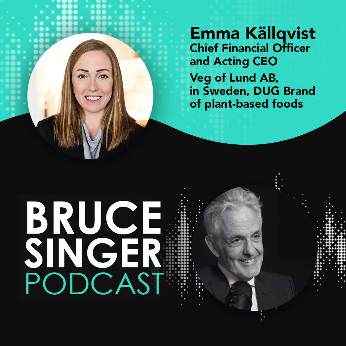 Bruce Singer Podcast