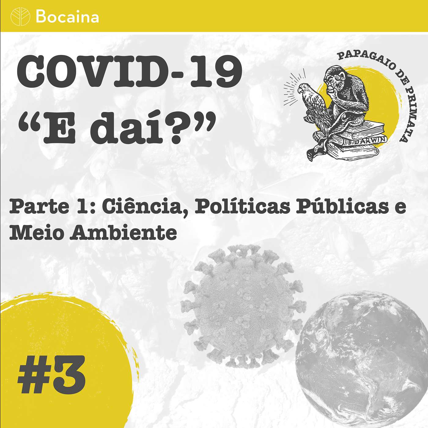 Papagaio de Primata