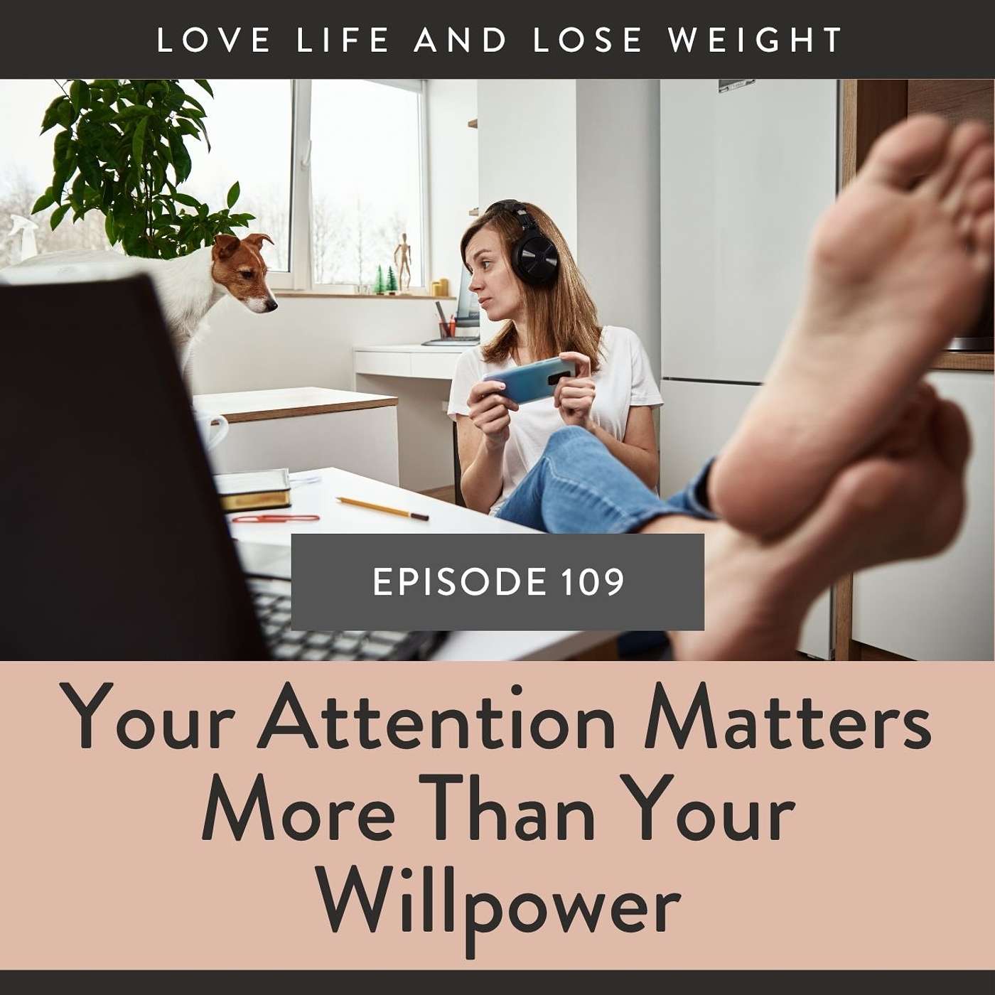 109: Why Your Attention Matters More Than Your Willpower episode artwork