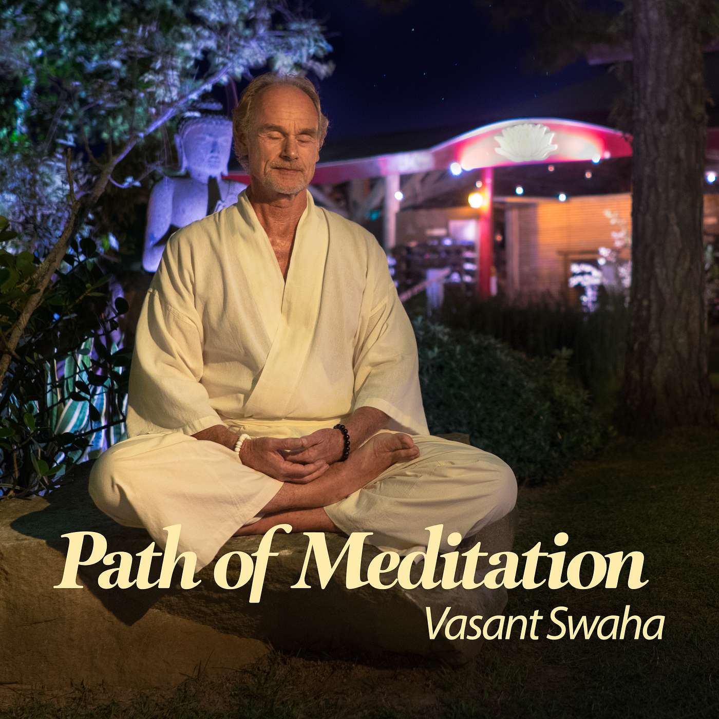 Satsang with Swaha - Audio