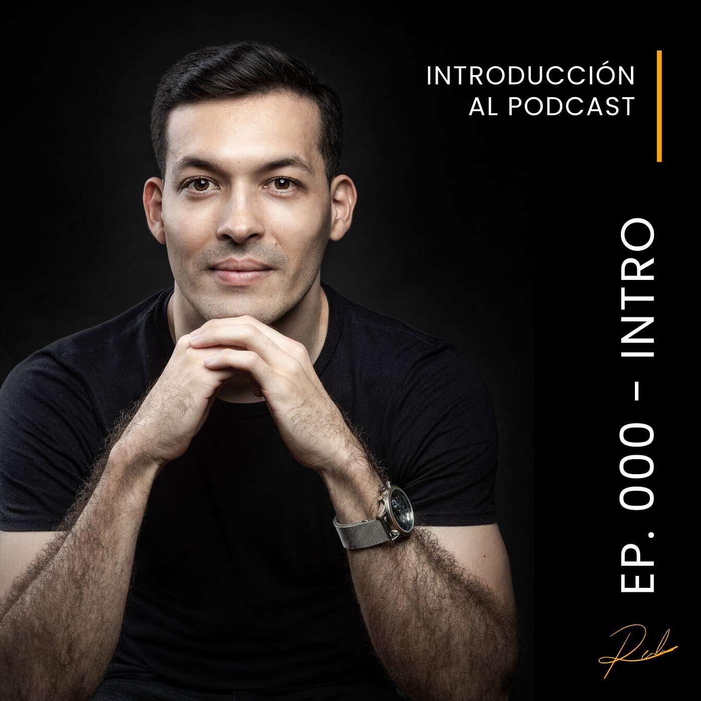 Ricardo Elizondo - Minimalismo Empresarial