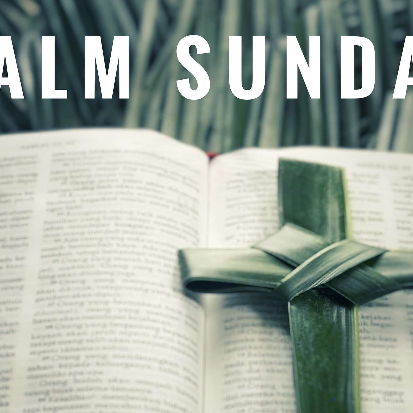 Palm Sunday.- John 12:1-16