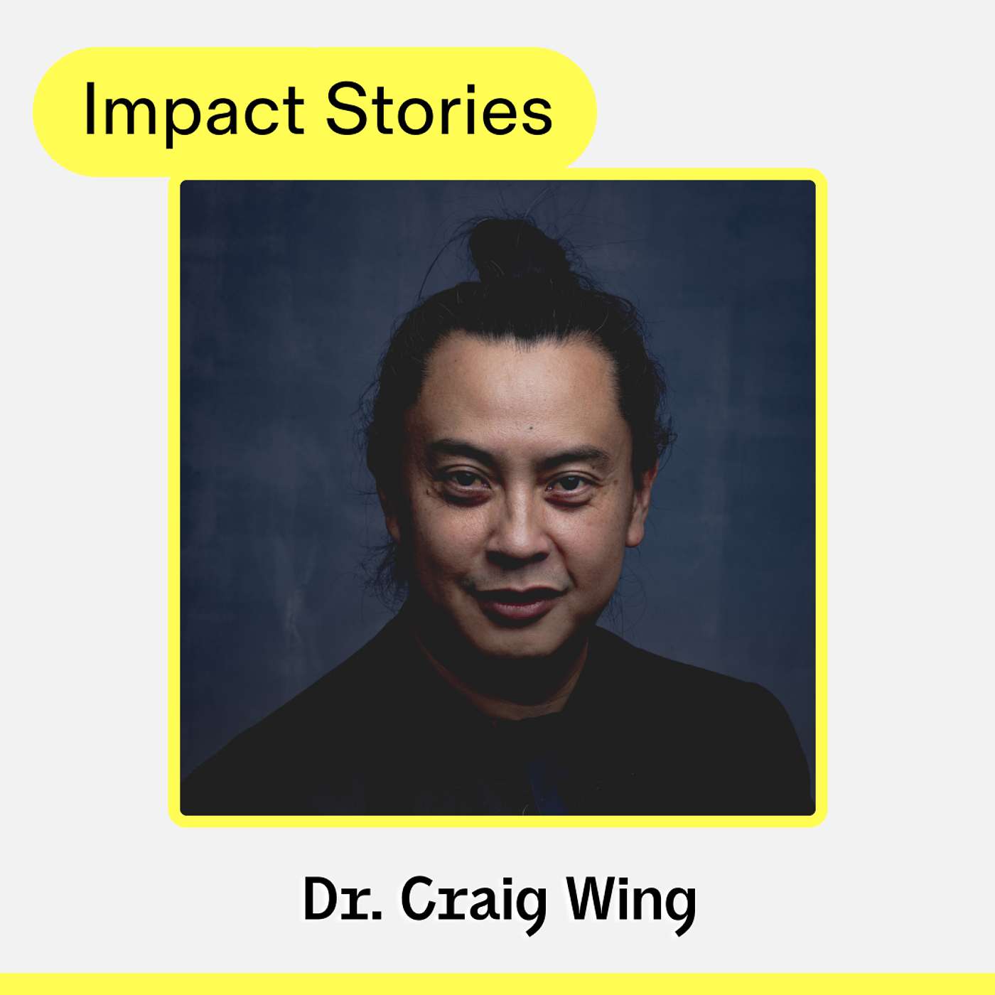 The Impact Stories