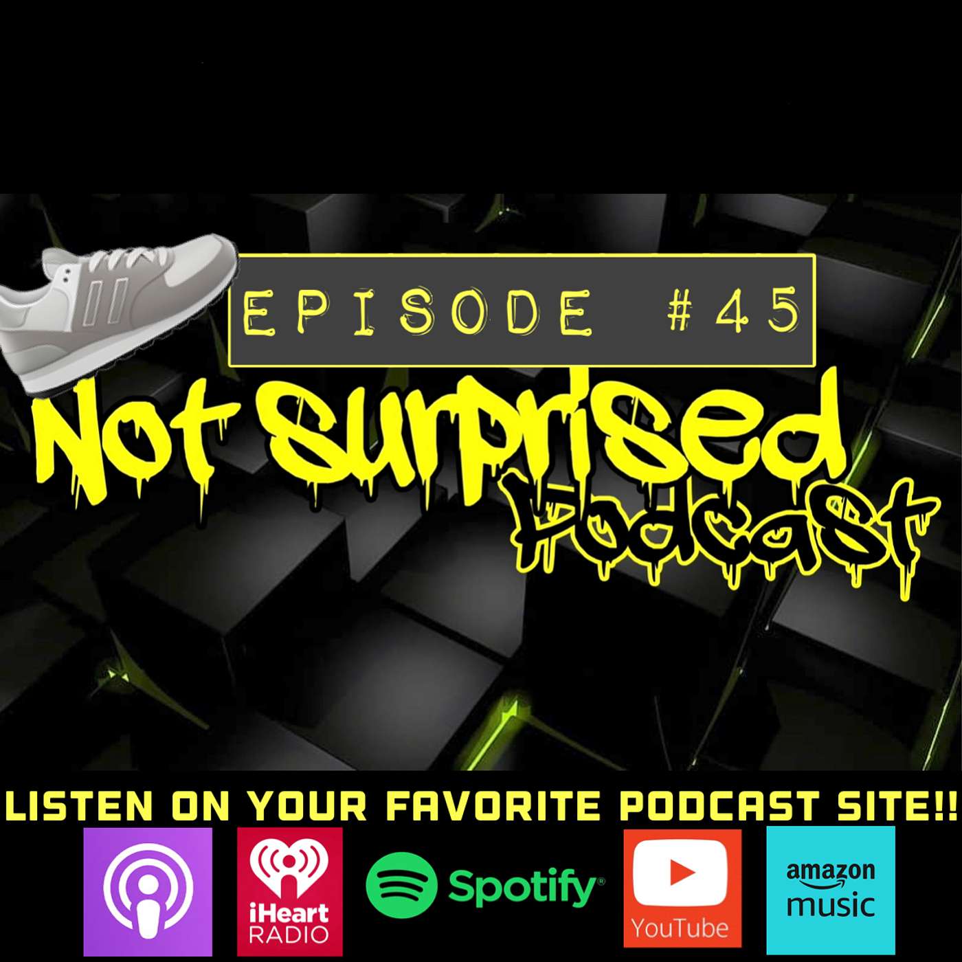 Not Surprised Podcast