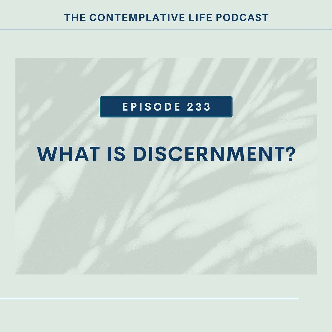 E 233  What Is Discernment?