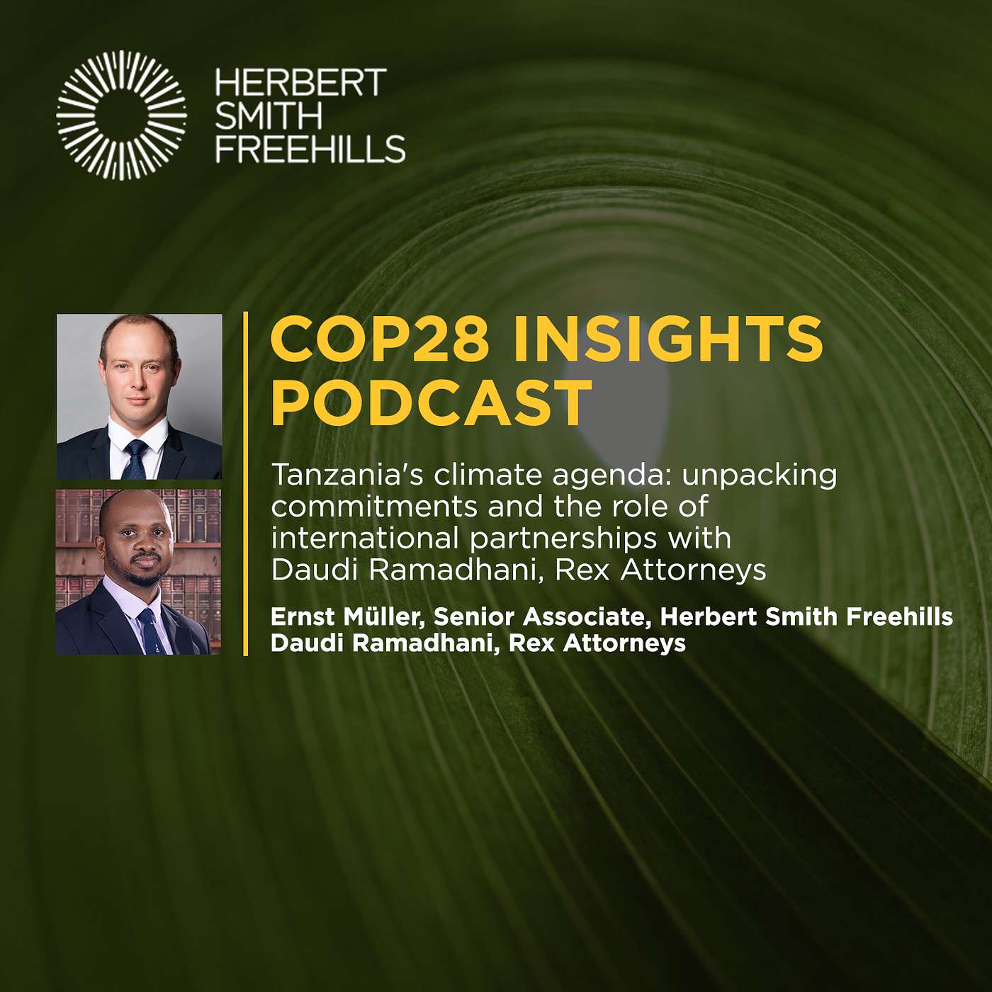 COP28 Insights EP6: Tanzania's climate agenda: unpacking commitments and the role of international partnerships with Daudi Ramadhani, Rex Attorneys episode artwork