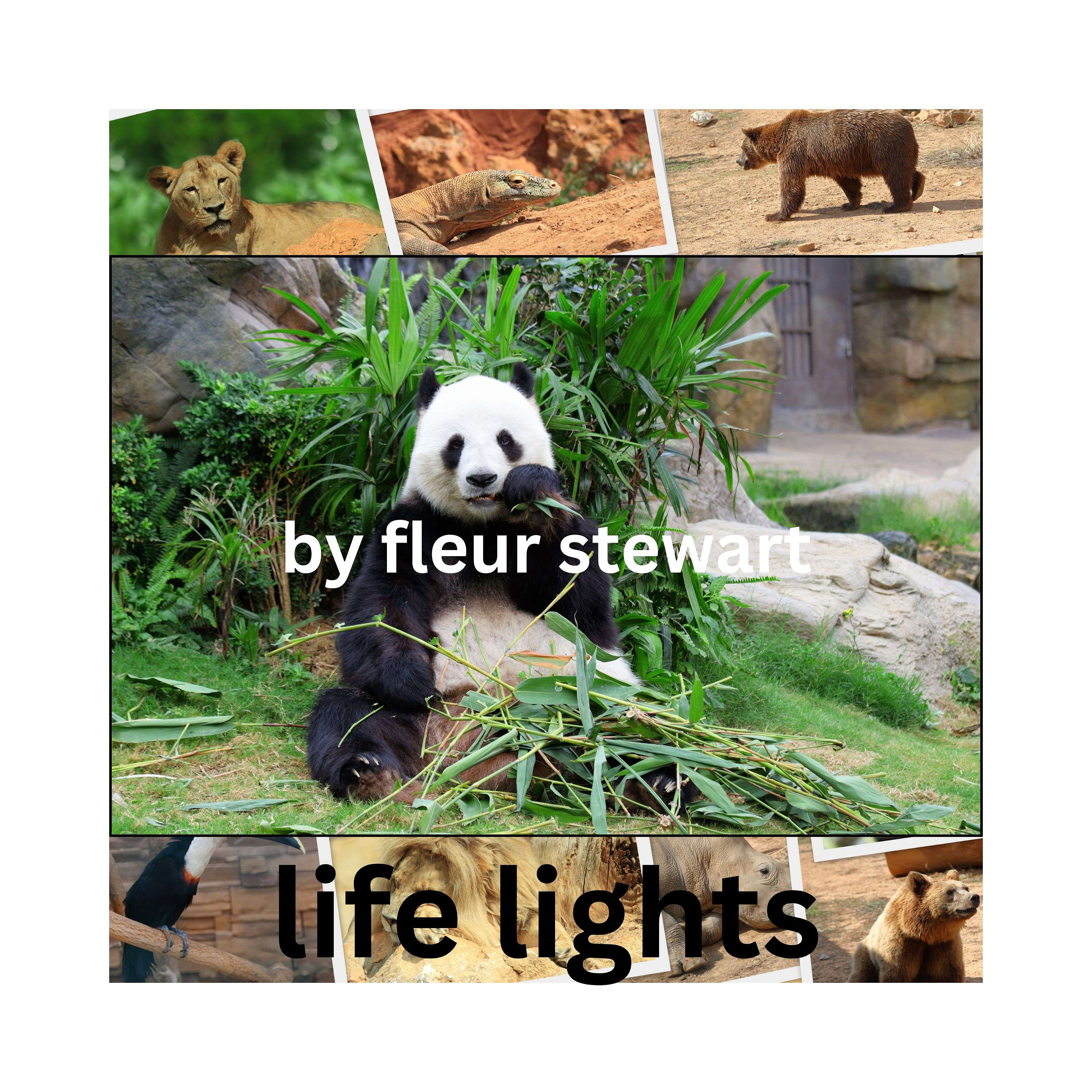 life lights