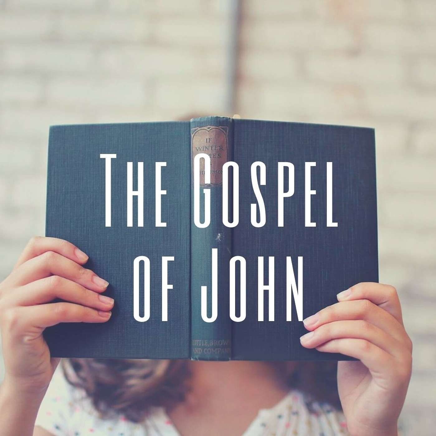 The Gospel of John: Jesus Walking on the Water - Matthew 14:22-36 episode artwork
