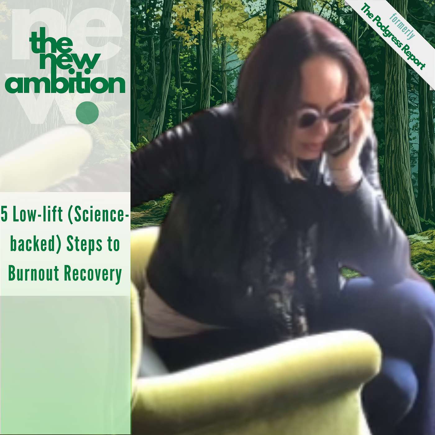 The New Ambition