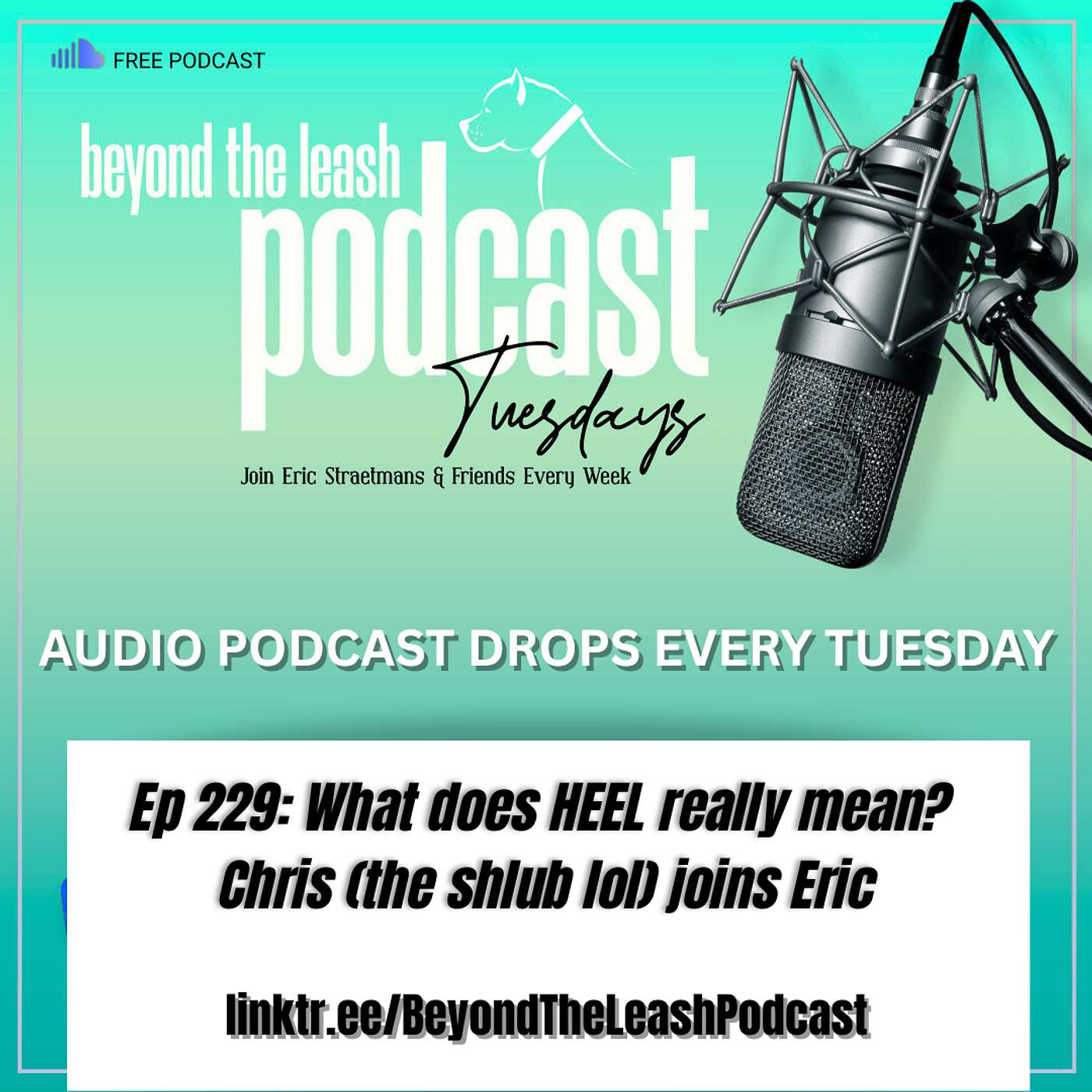 Ep 229: What does HEEL really mean? Chris (the shlub lol) joins Eric Ep 229: What does HEEL really mean? Chris (the shlub lol) joins Eric