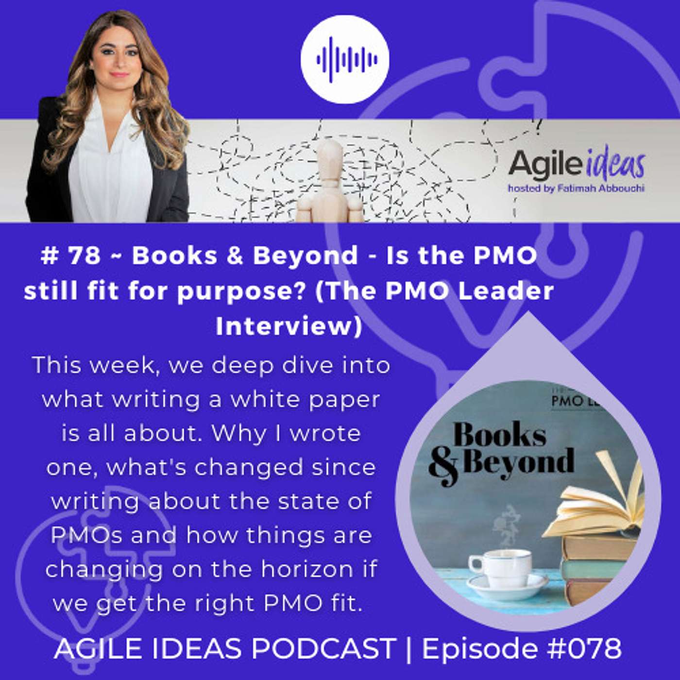 Agile Ideas