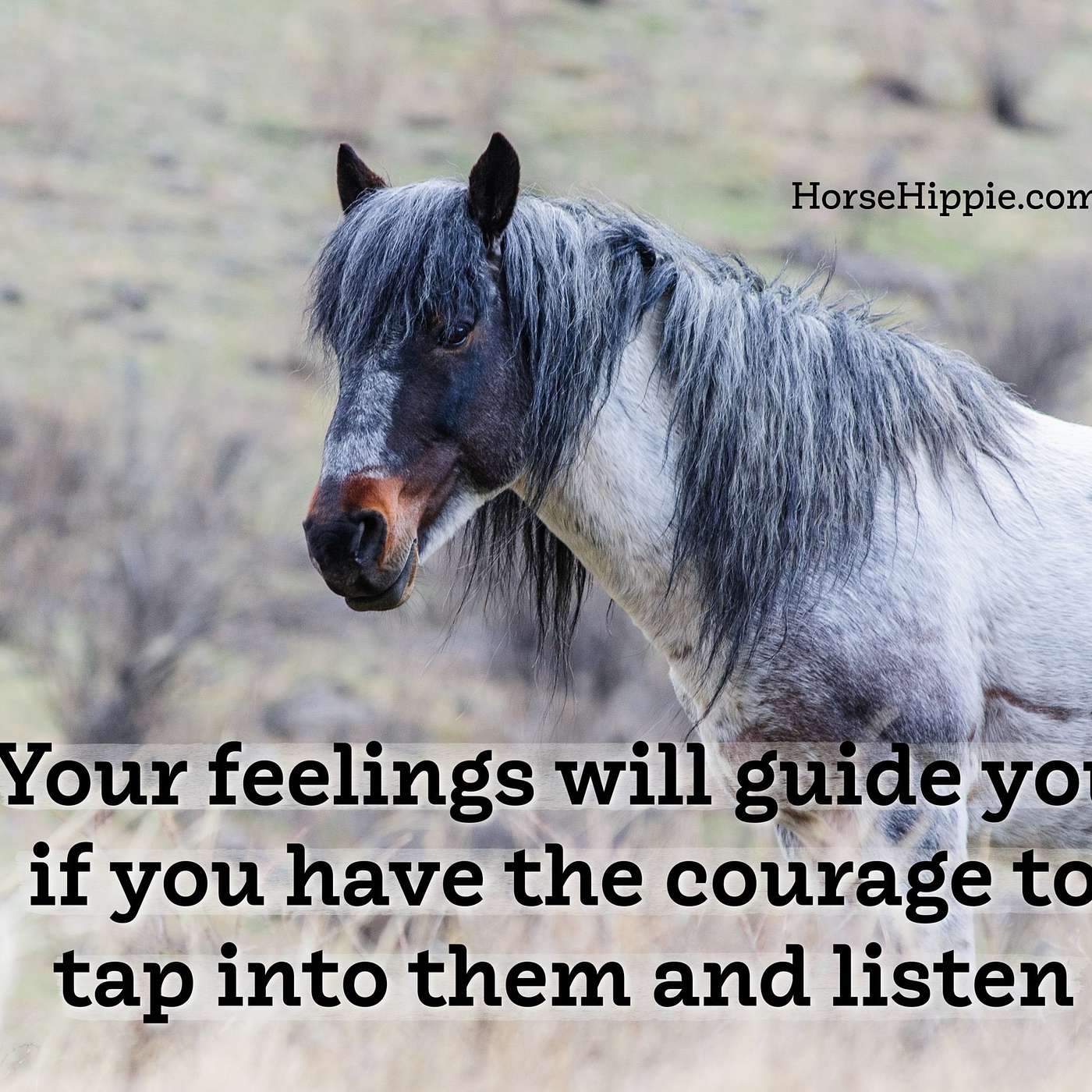 Feelings Show The Way