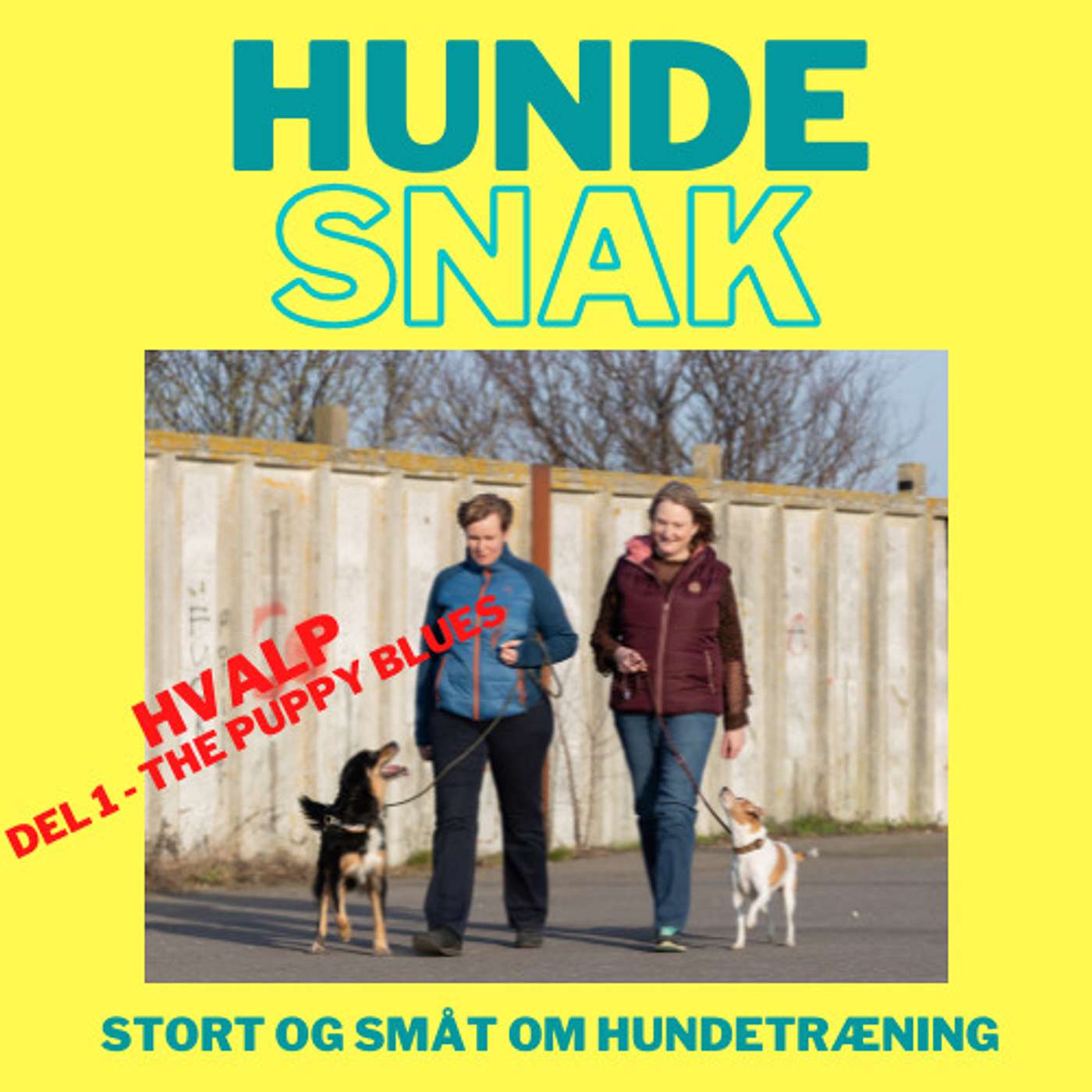 12 Puppy blues 12 Puppy blues